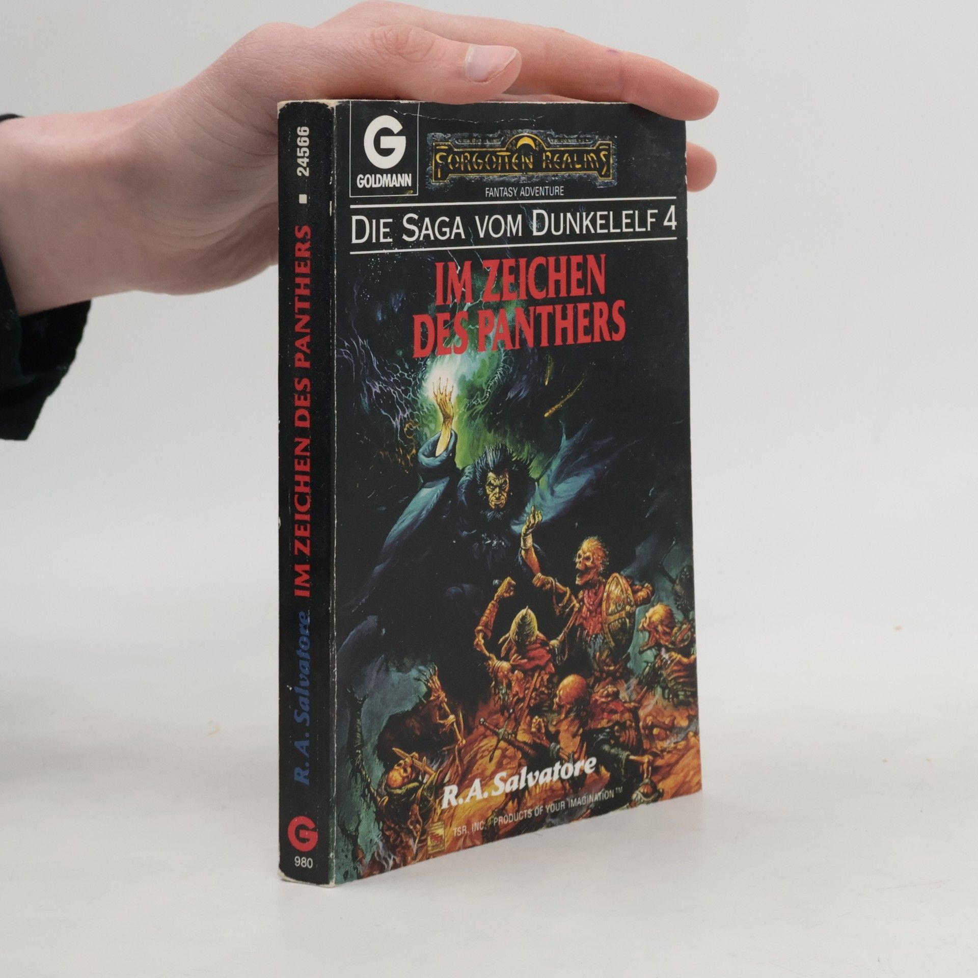 R. A. Salvatore Im Zeichen Des Panthers. Die Saga vom Dunkelelf