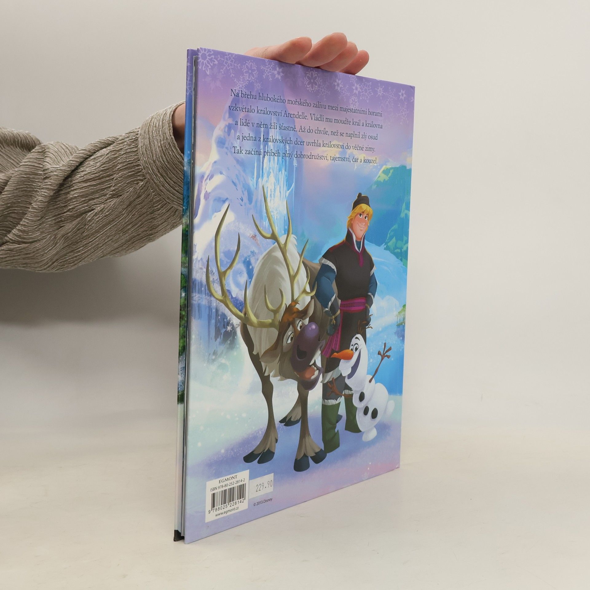 Autores varios Ledové království