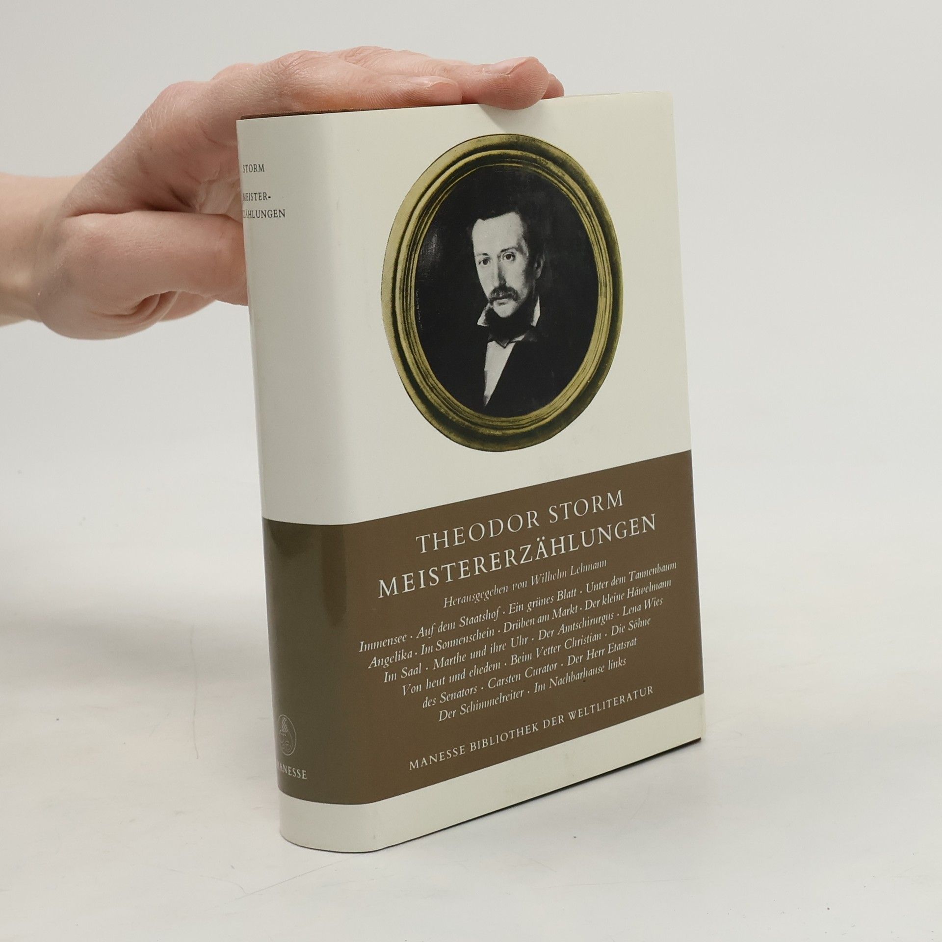 Theodor Storm Meistererzählungen. Hrsg. v. Wilhelm Lehmann