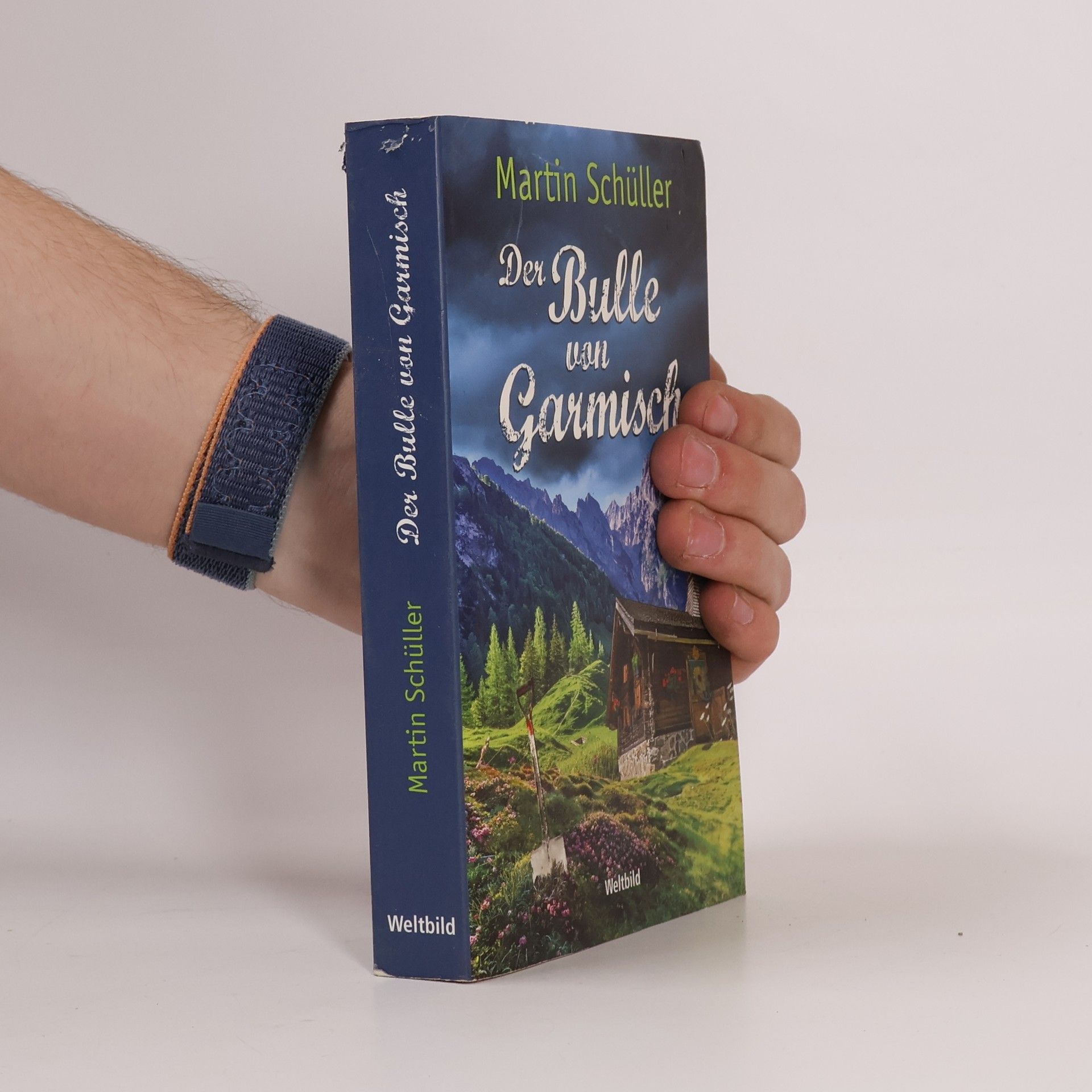 Der Bulle von Garmisch