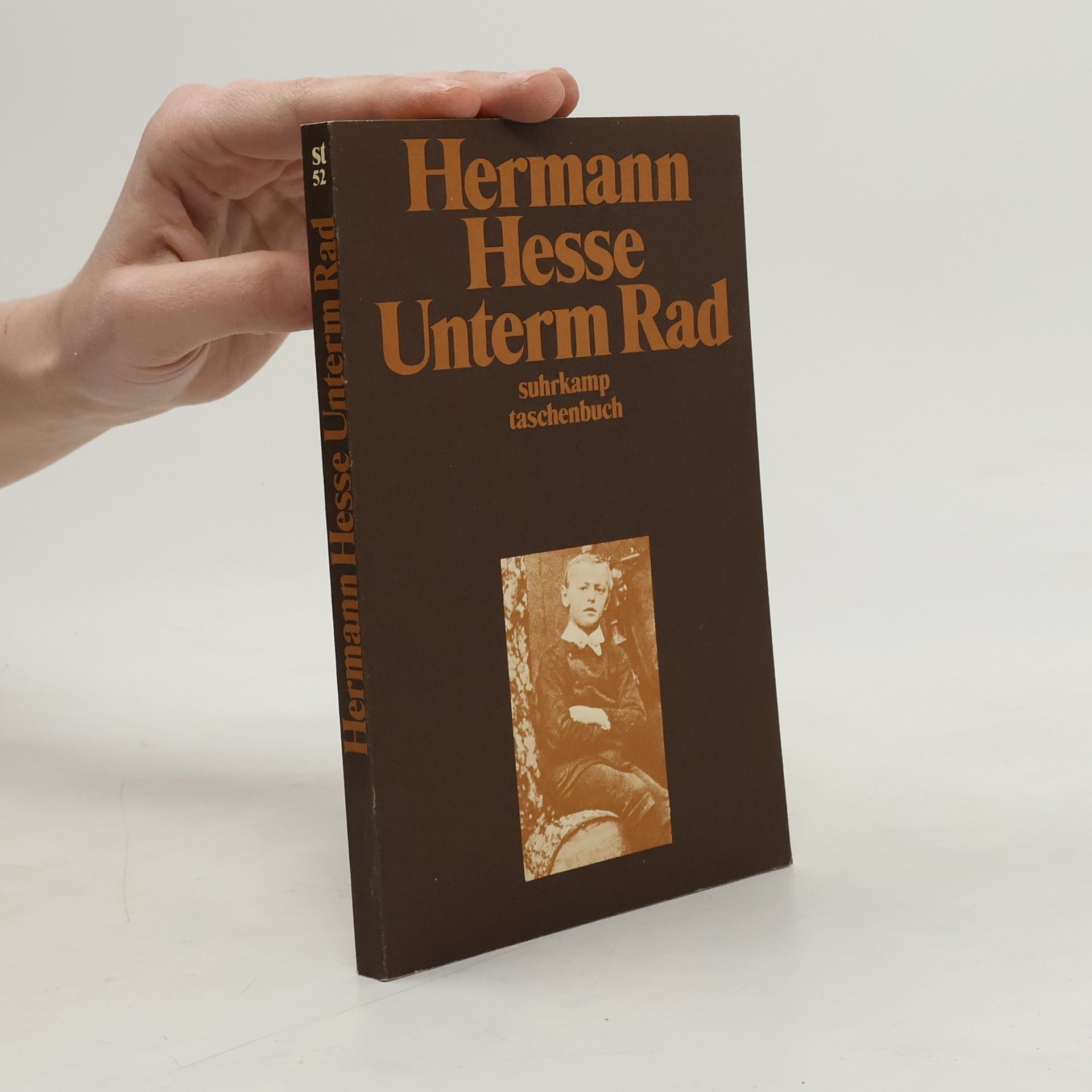 Hermann Hesse Unterm Rad