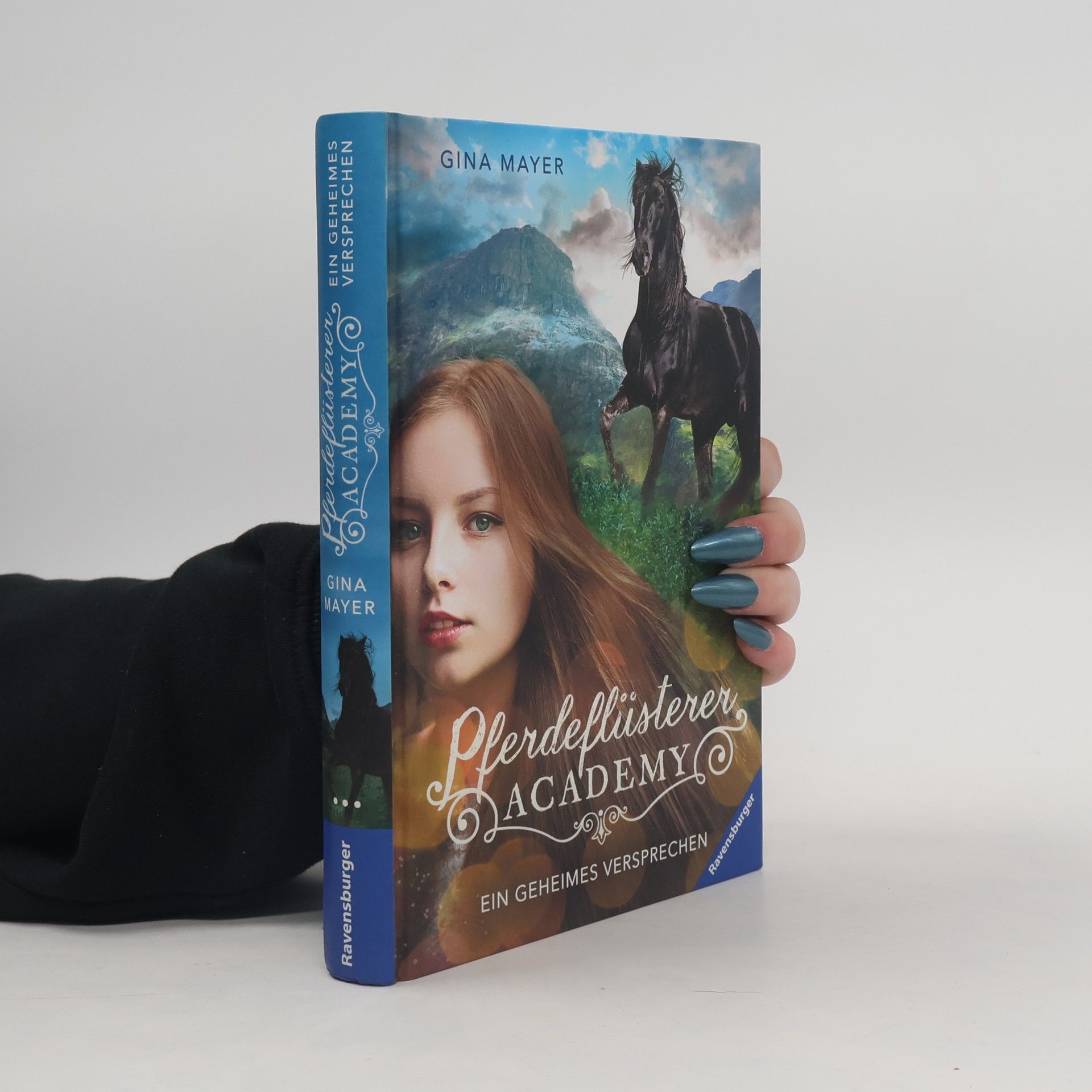 Đina Majer Pferdeflüsterer Academy. Band 2: Ein geheimes Versprechen.