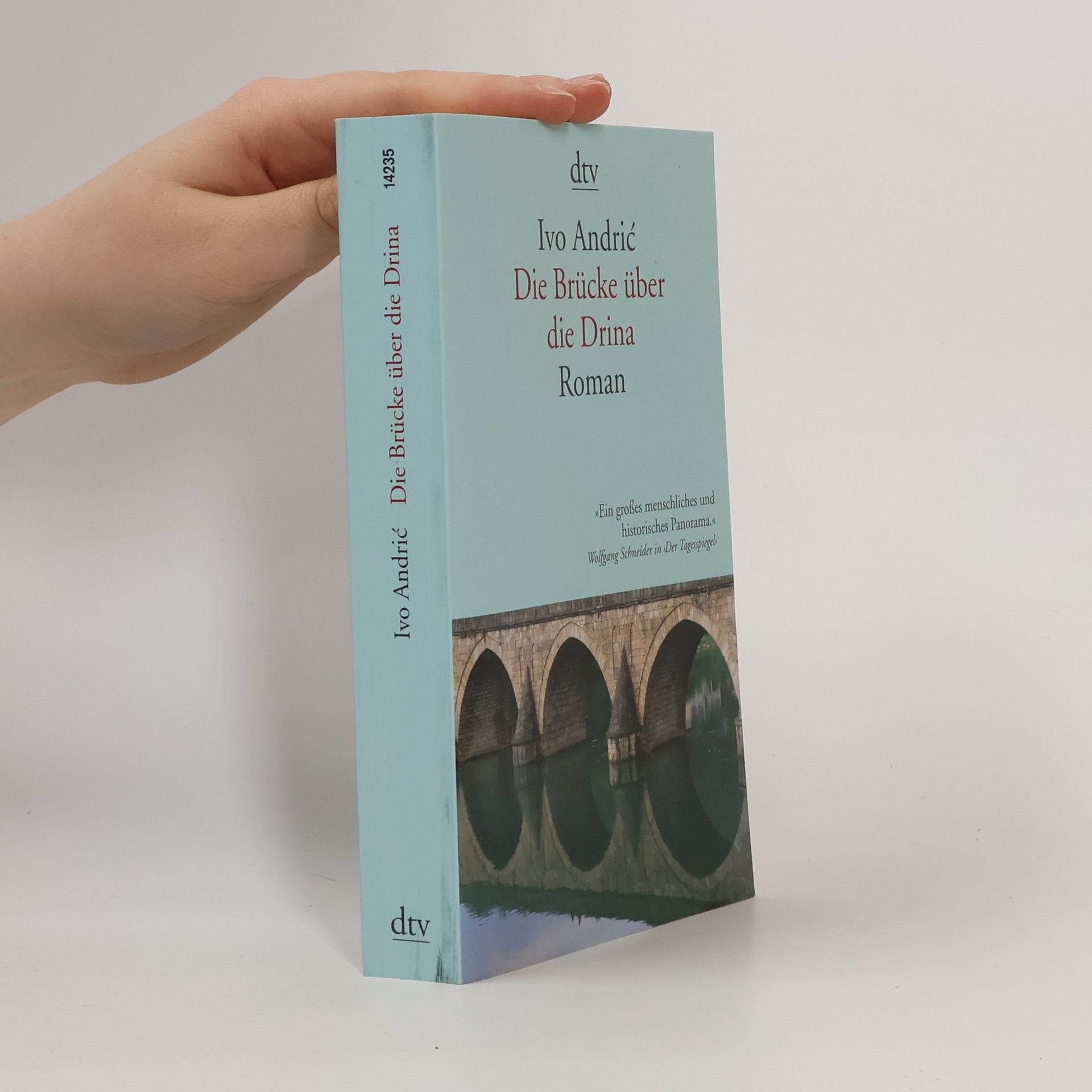 Ivo Andrić Die Brücke über die Drina