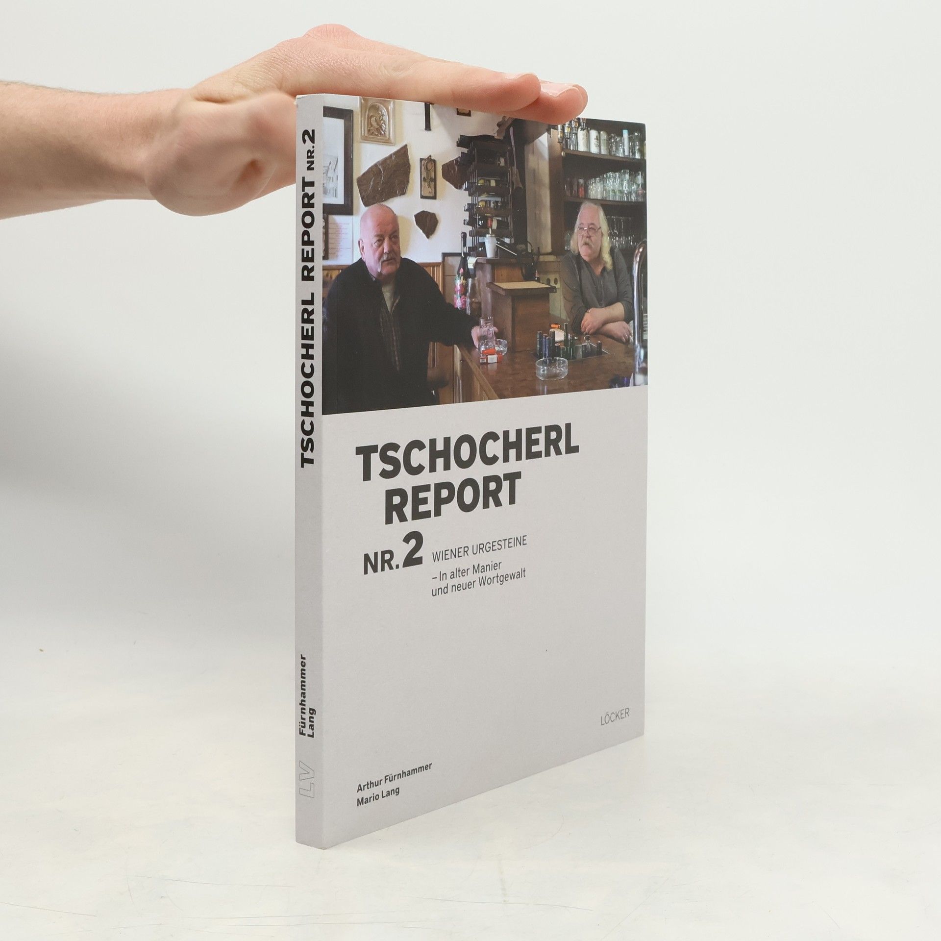 Arthur Fürnhammer Wiener Urgesteine - in alter Manier und neuer Wortgewalt