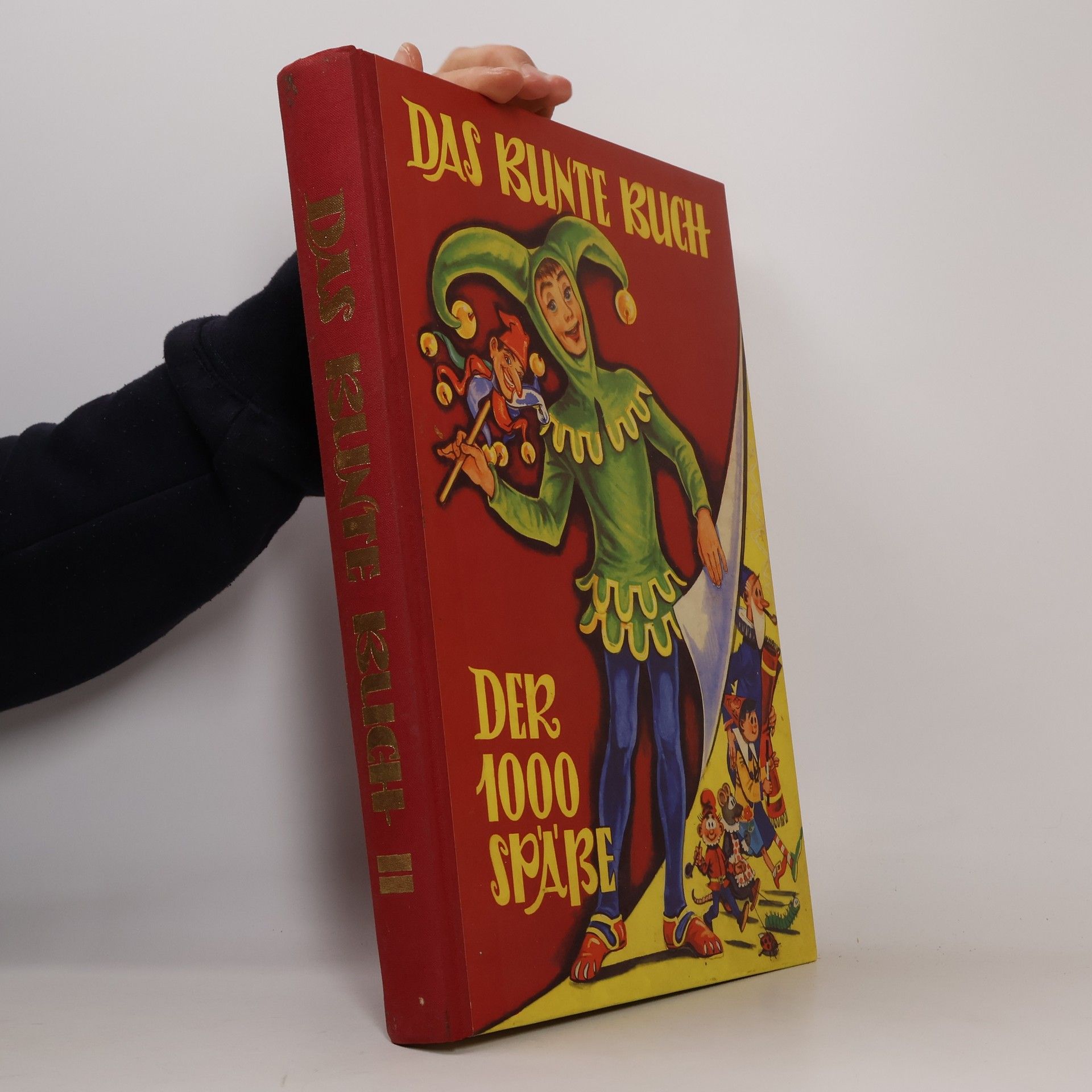 Das bunte Buch der 1000 Späße