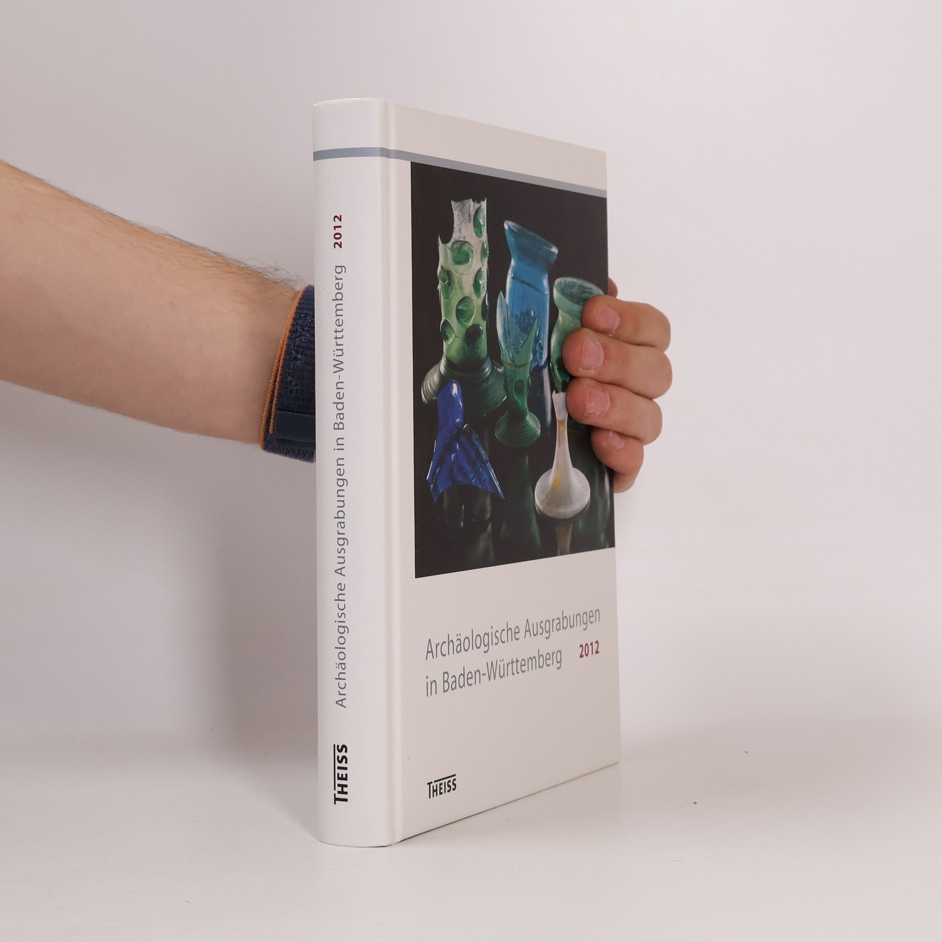 Dirk L. Krauße Archäologische Ausgrabungen in Baden-Württemberg - 2012: Archäologische Ausgrabungen Baden-Württemberg 2012