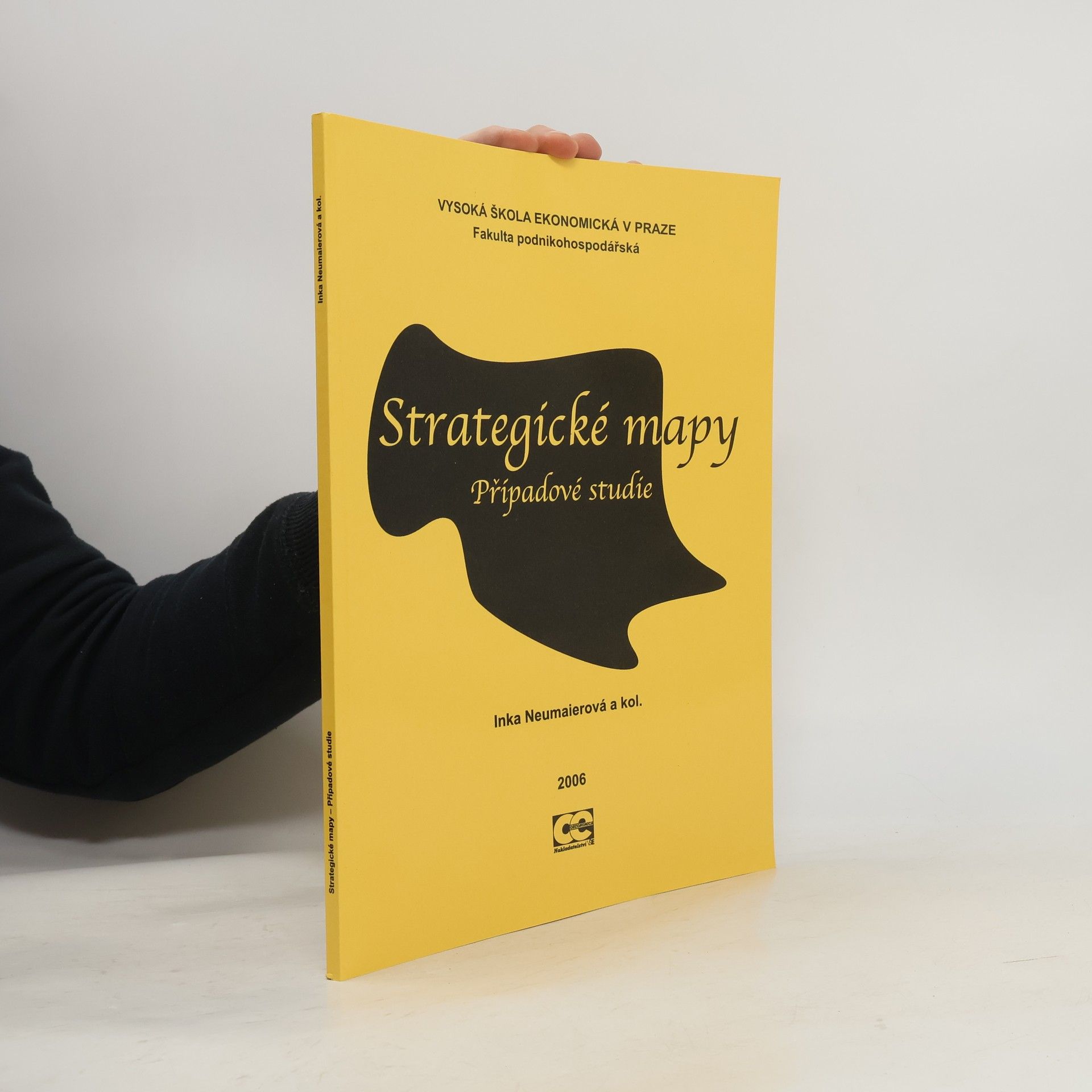 Inka Neumaierová Strategické mapy: případové studie