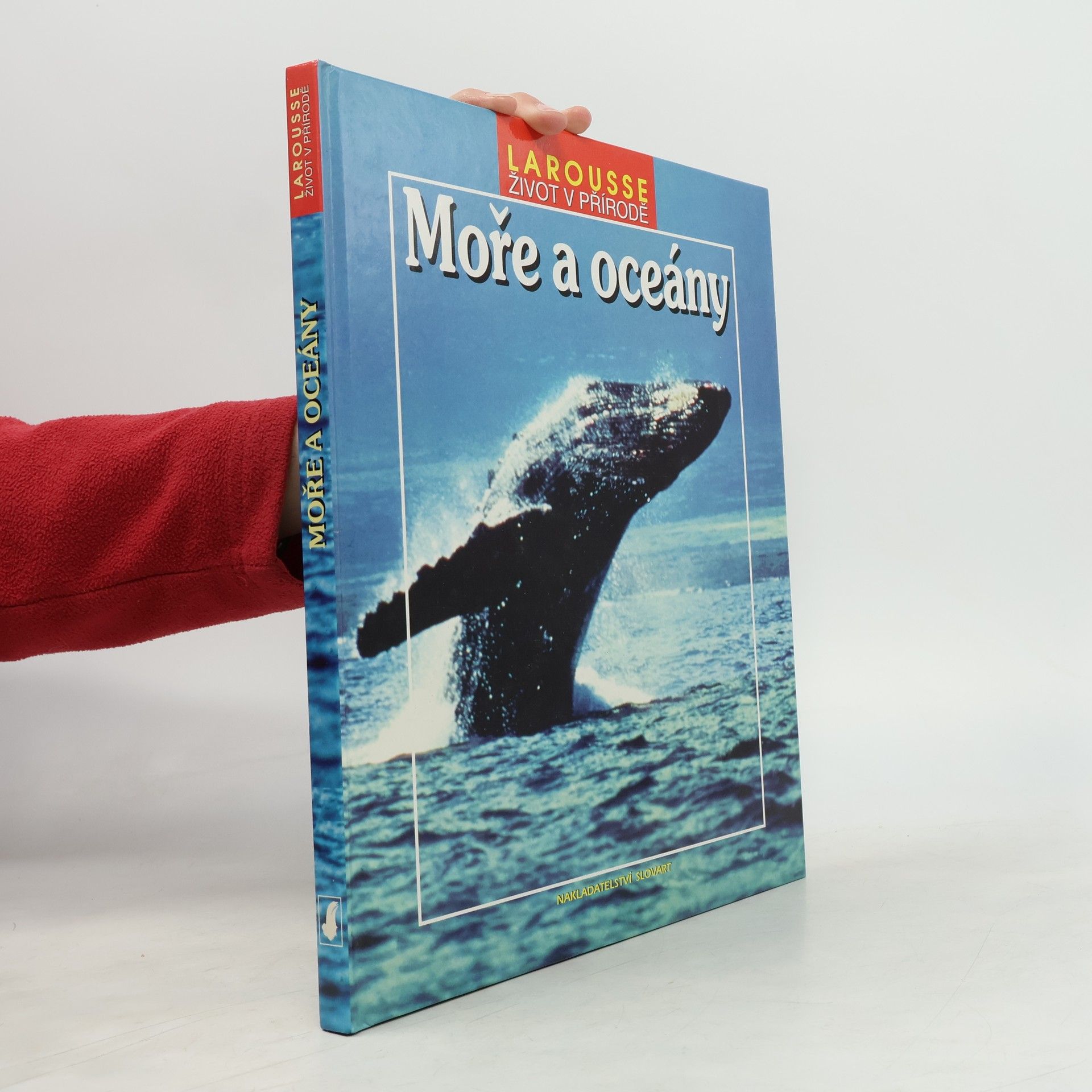 Jana Steinerová Moře a oceány
