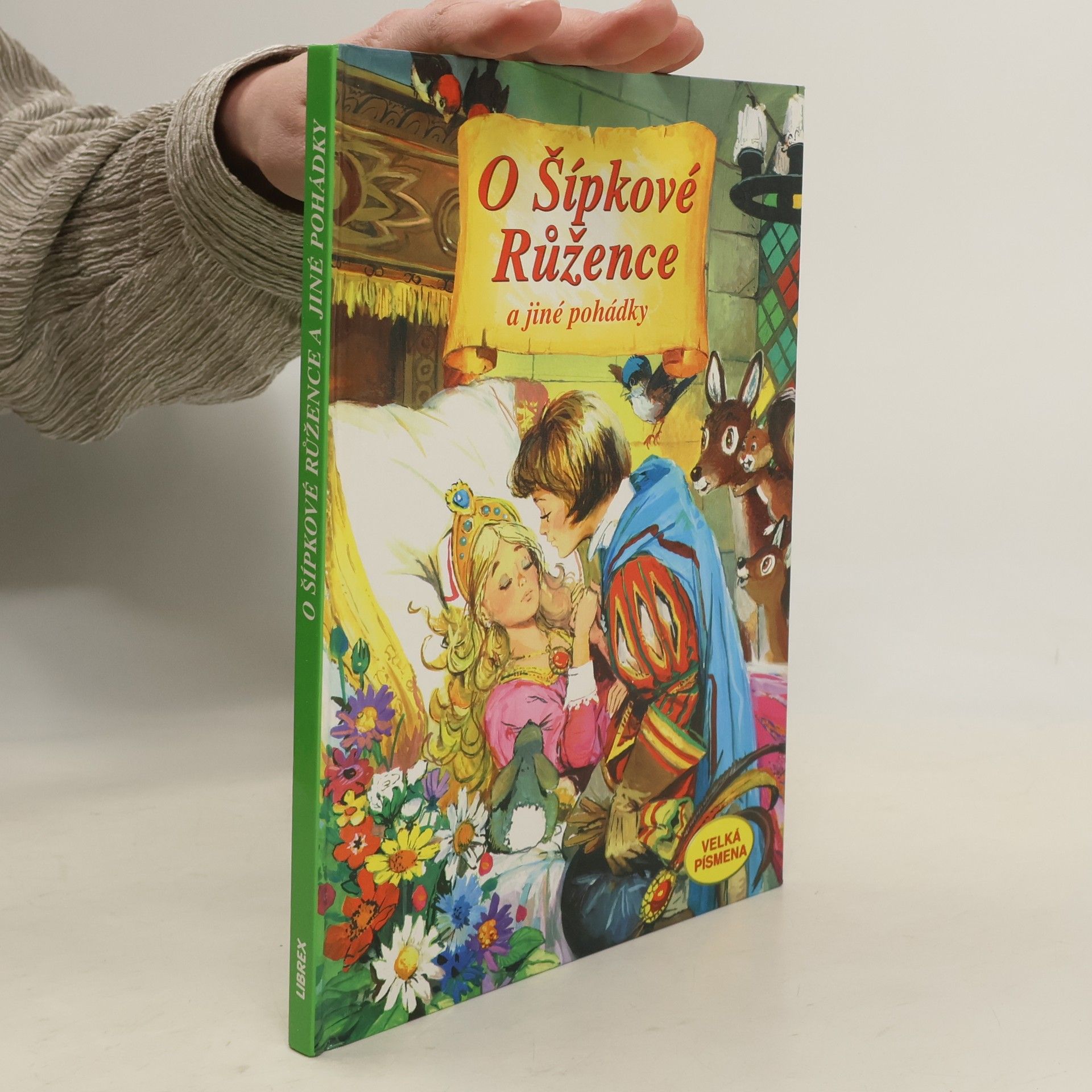 Carlos Busquets O Šípkové Růžence a jiné pohádky