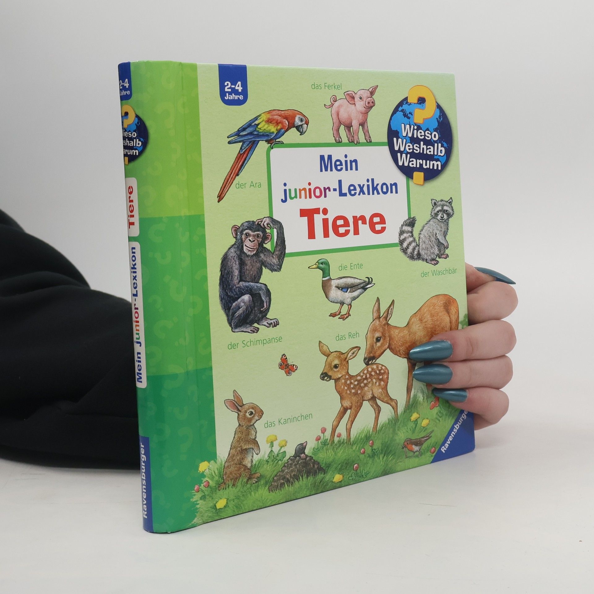 Anne Möller Mein Junior-Lexikon - Tiere