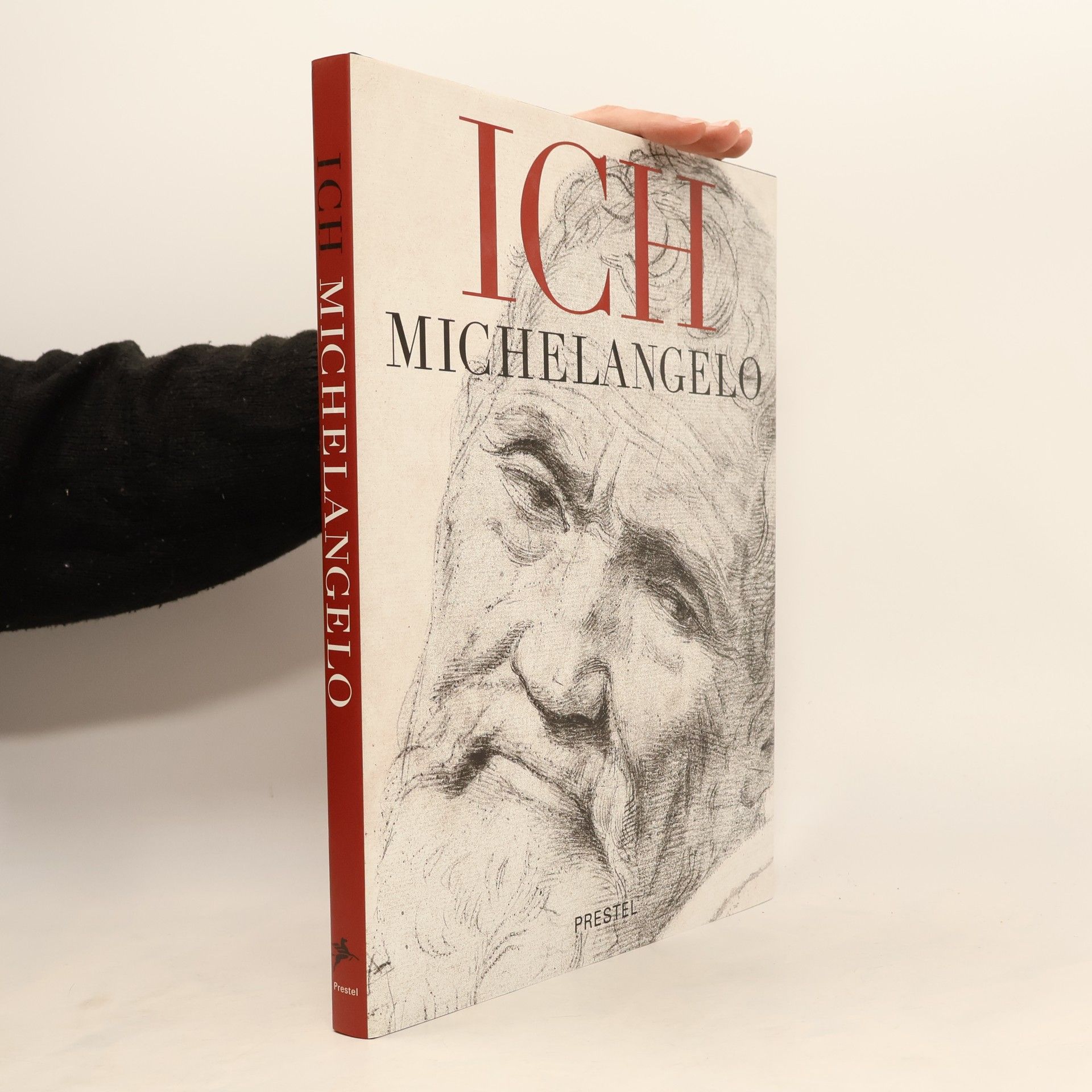 Michelangelo Ich, Michelangelo