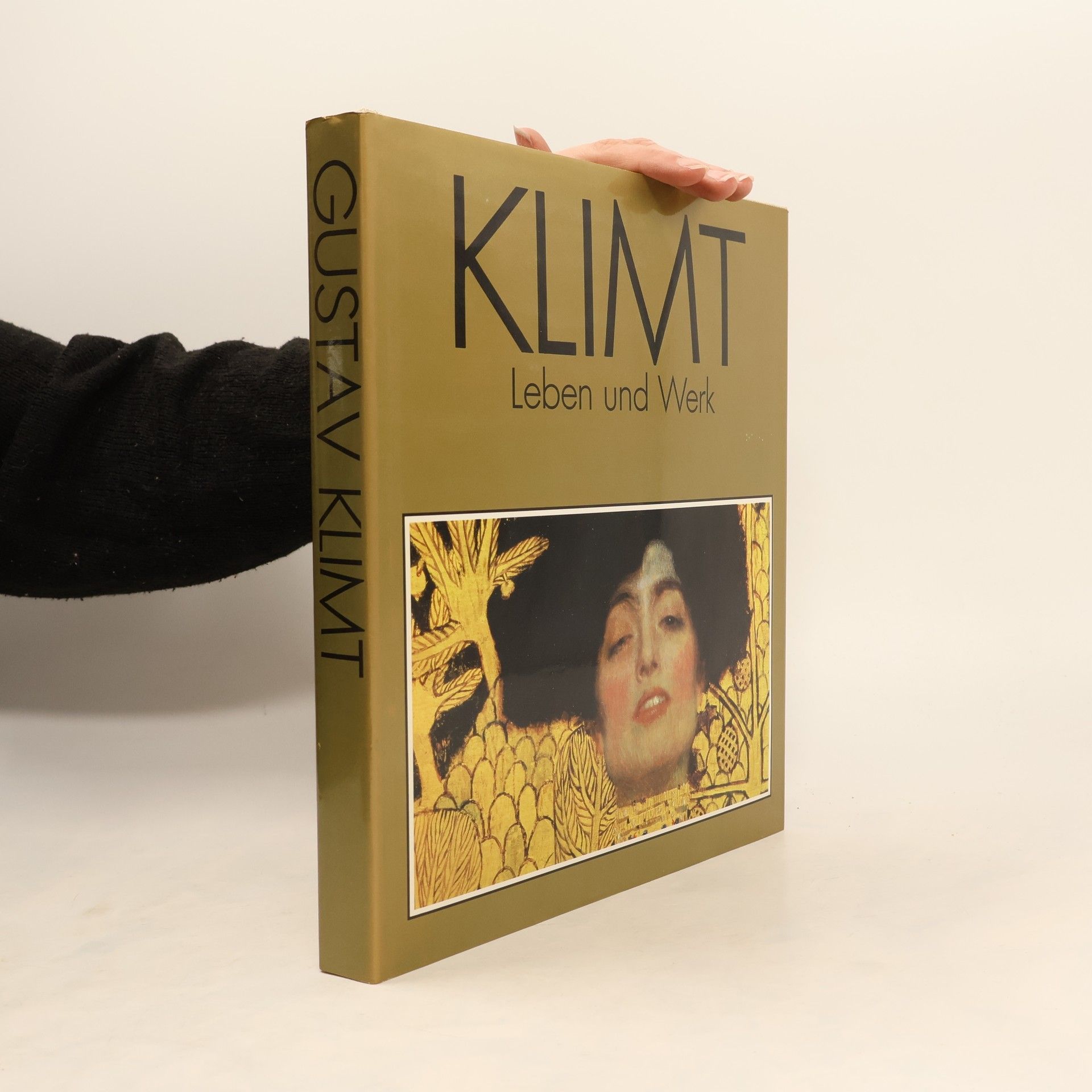 Susanna Partsch Gustav Klimt. Leben und Werk