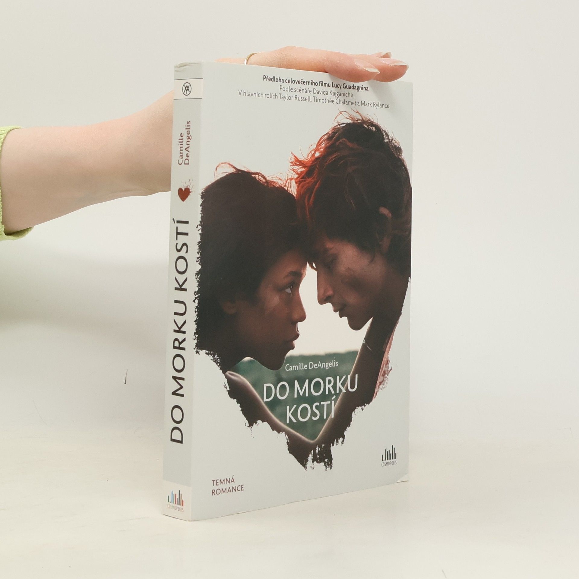 Camille DeAngelis Do morku kostí