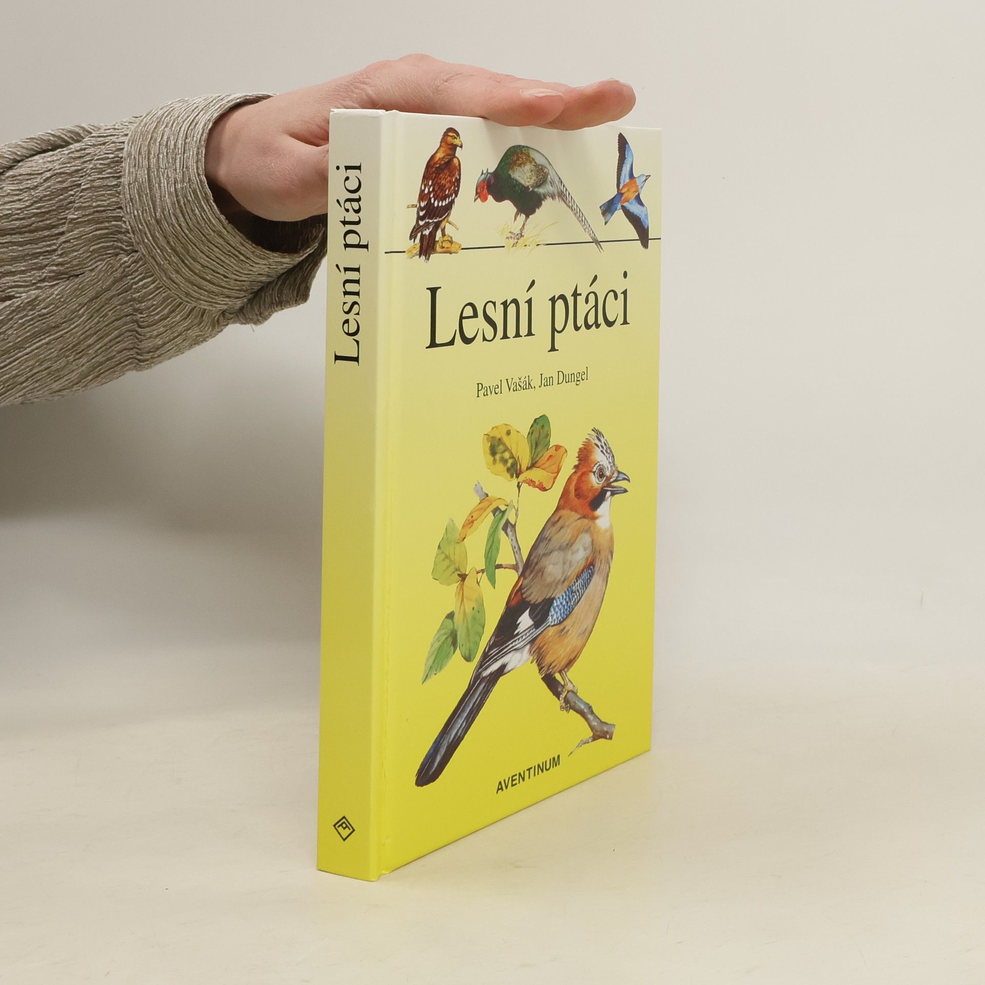 Pavel Vašák Lesní ptáci
