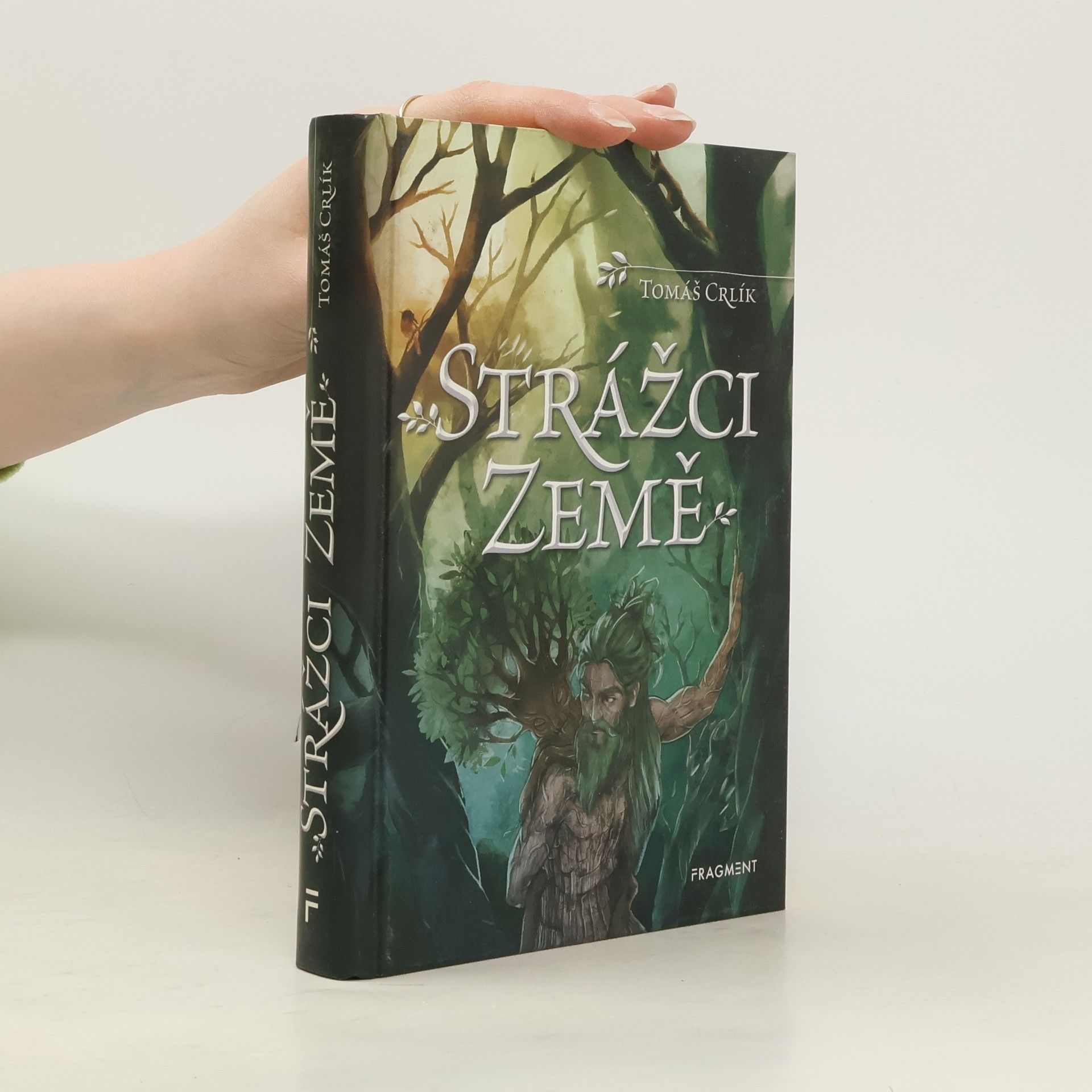 Ergall Strážci Země