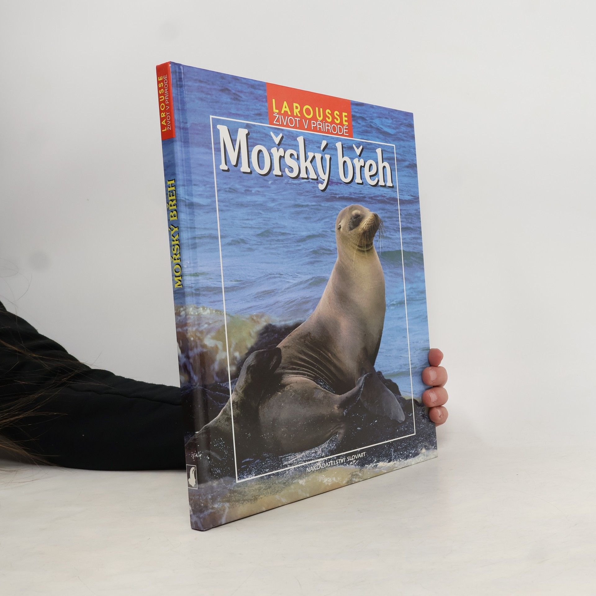 Collectif d'auteurs Mořský břeh