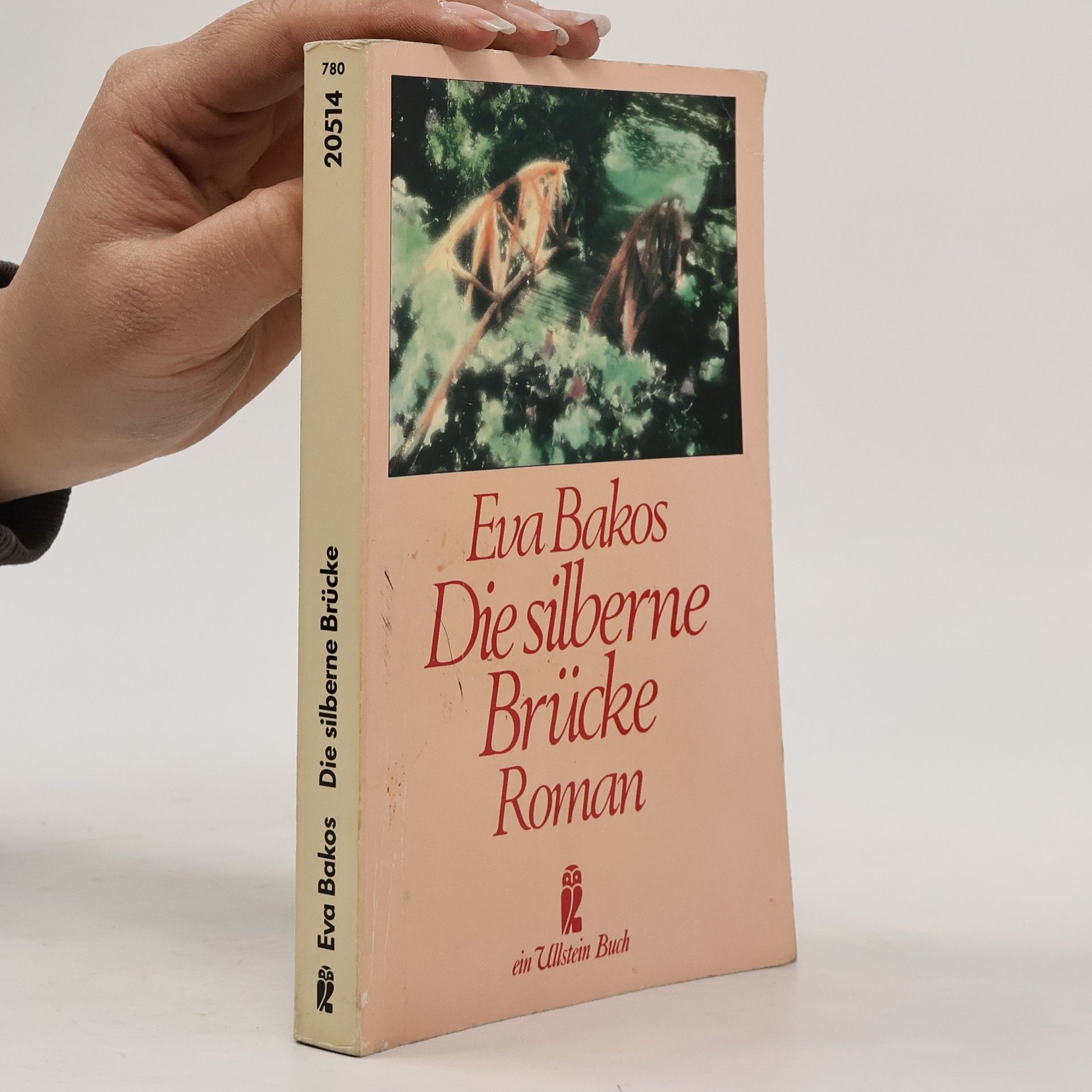 Eva Bakos Die silberne Brücke