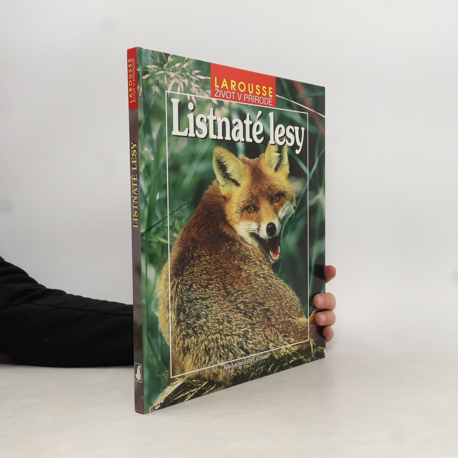 Autorenkollektiv Listnaté lesy