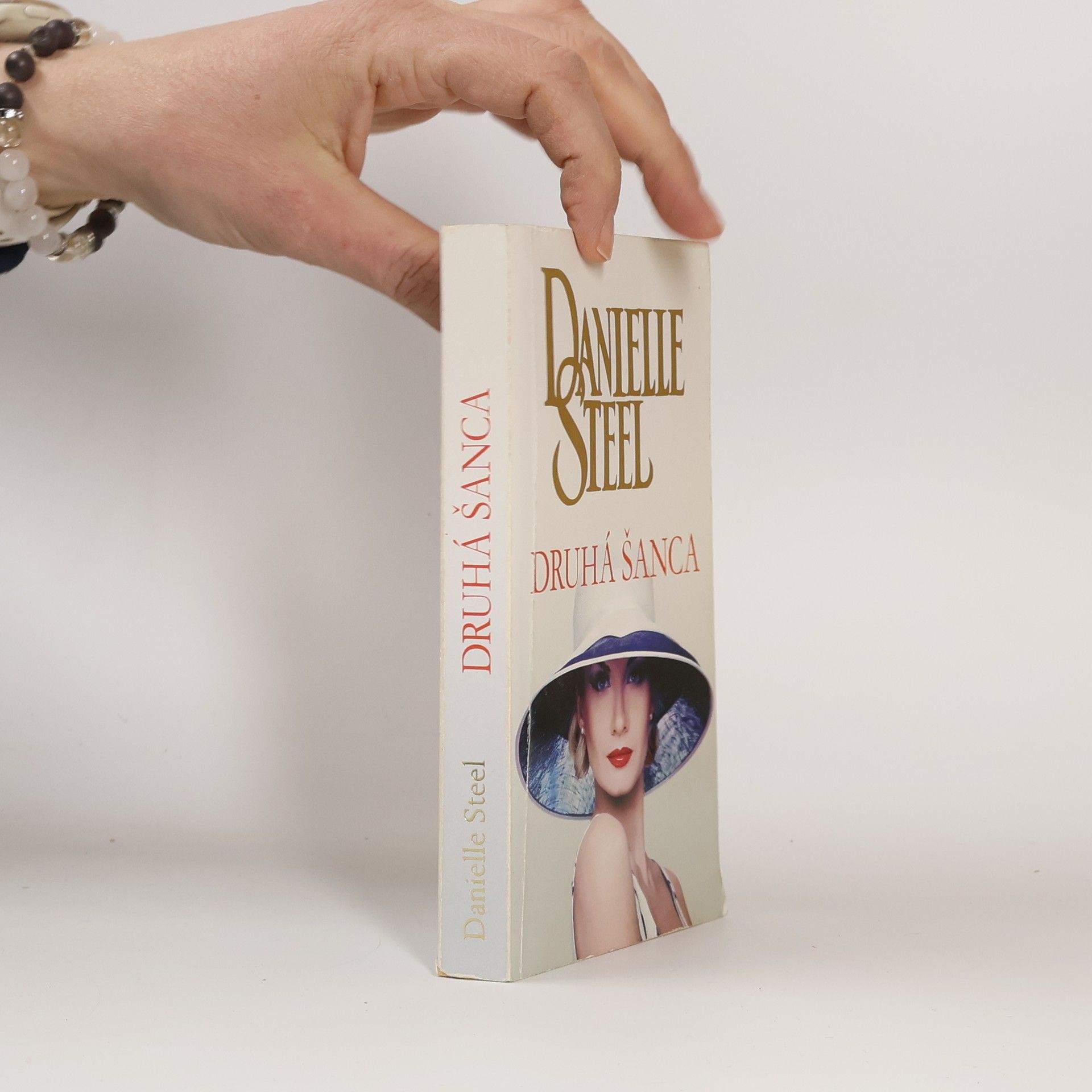 Danielle Steel Druhá šanca