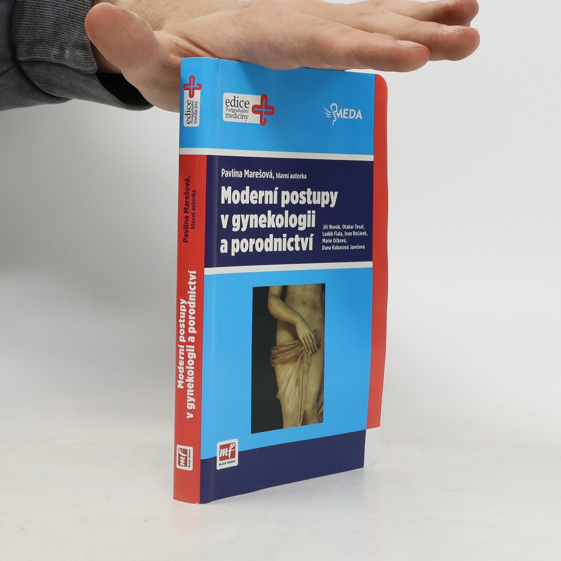 Pavlína Marešová Moderní postupy v gynekologii a porodnictví