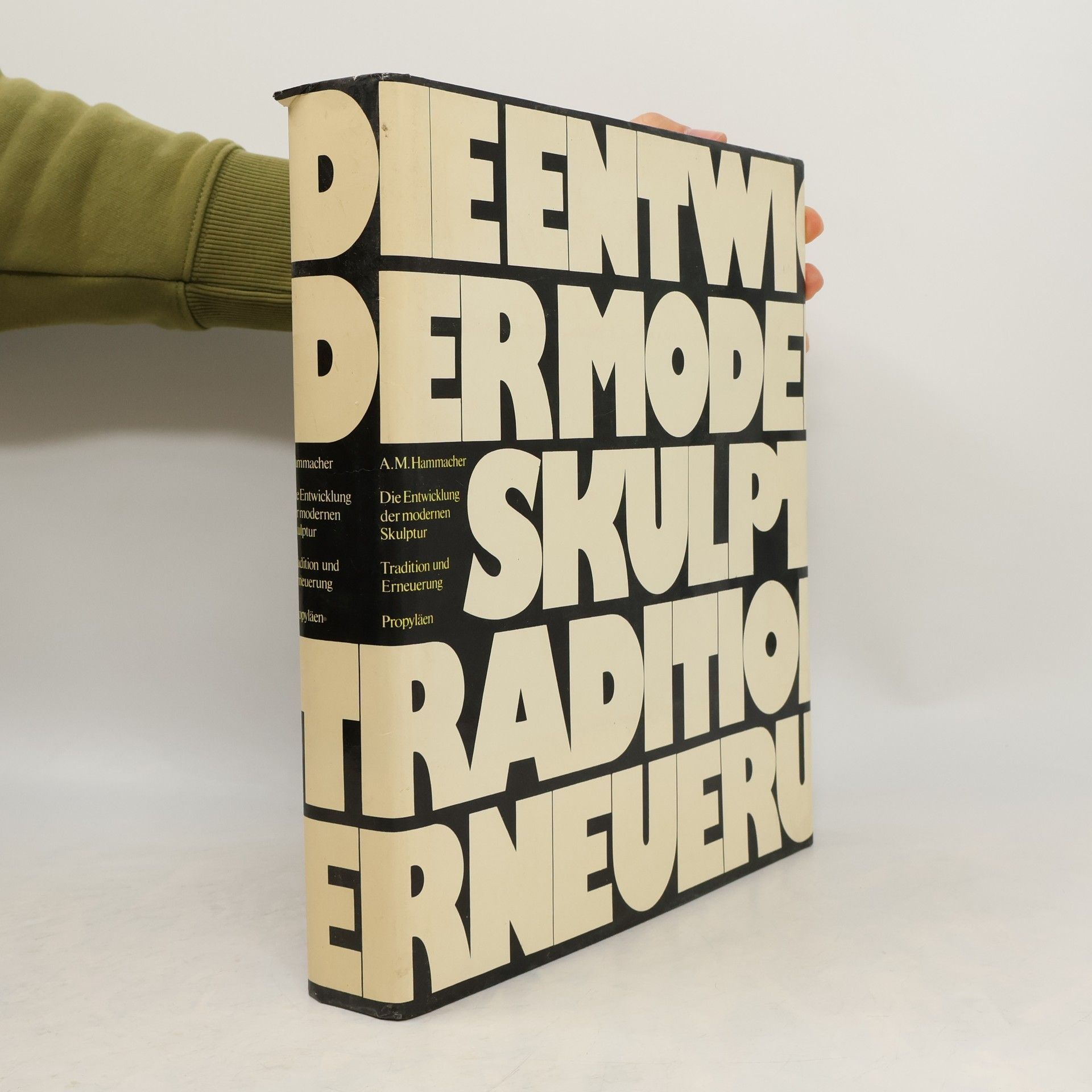 Abraham Marie Hammacher Die Entwicklung der modernen Skulptur