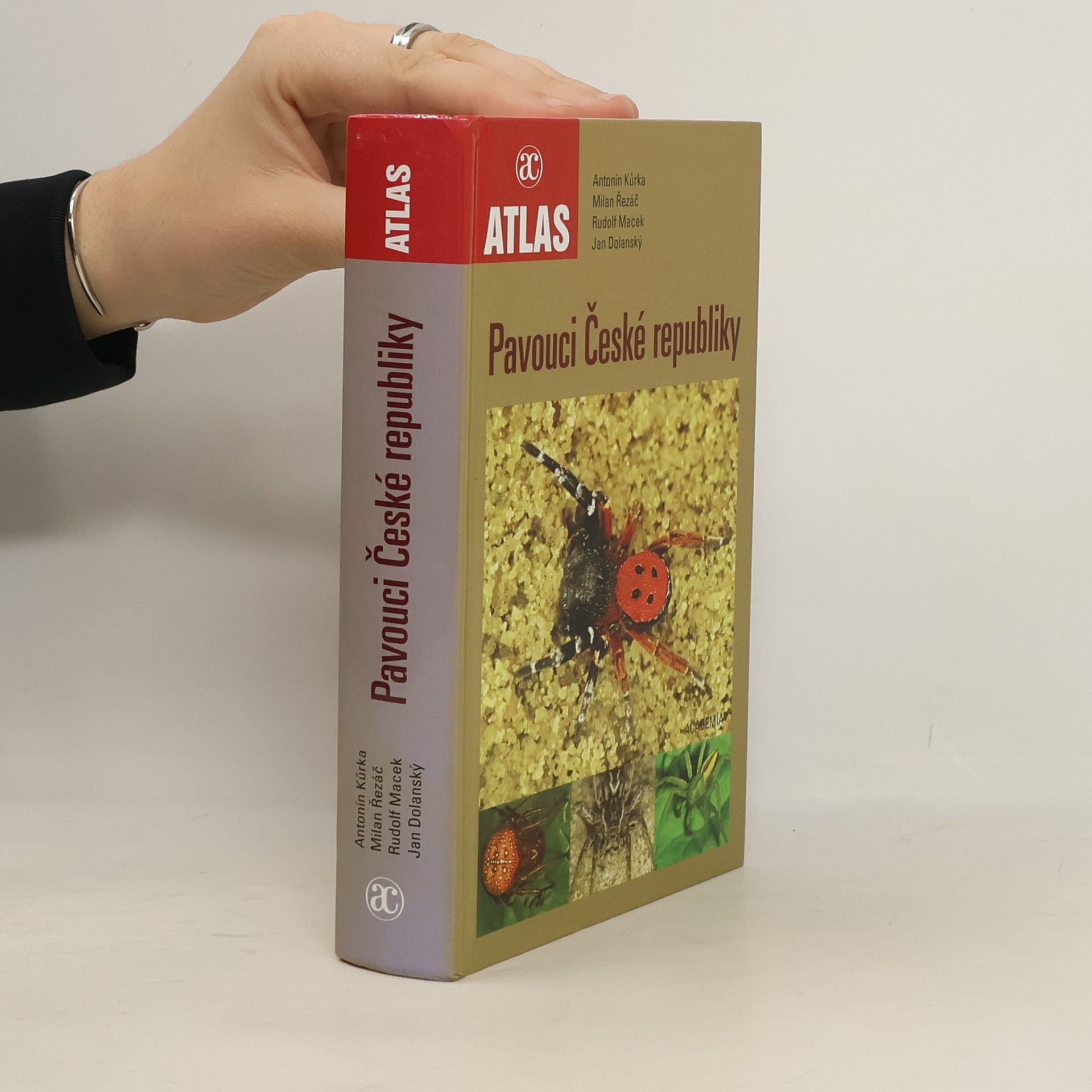 Antonín Kůrka Pavouci České republiky