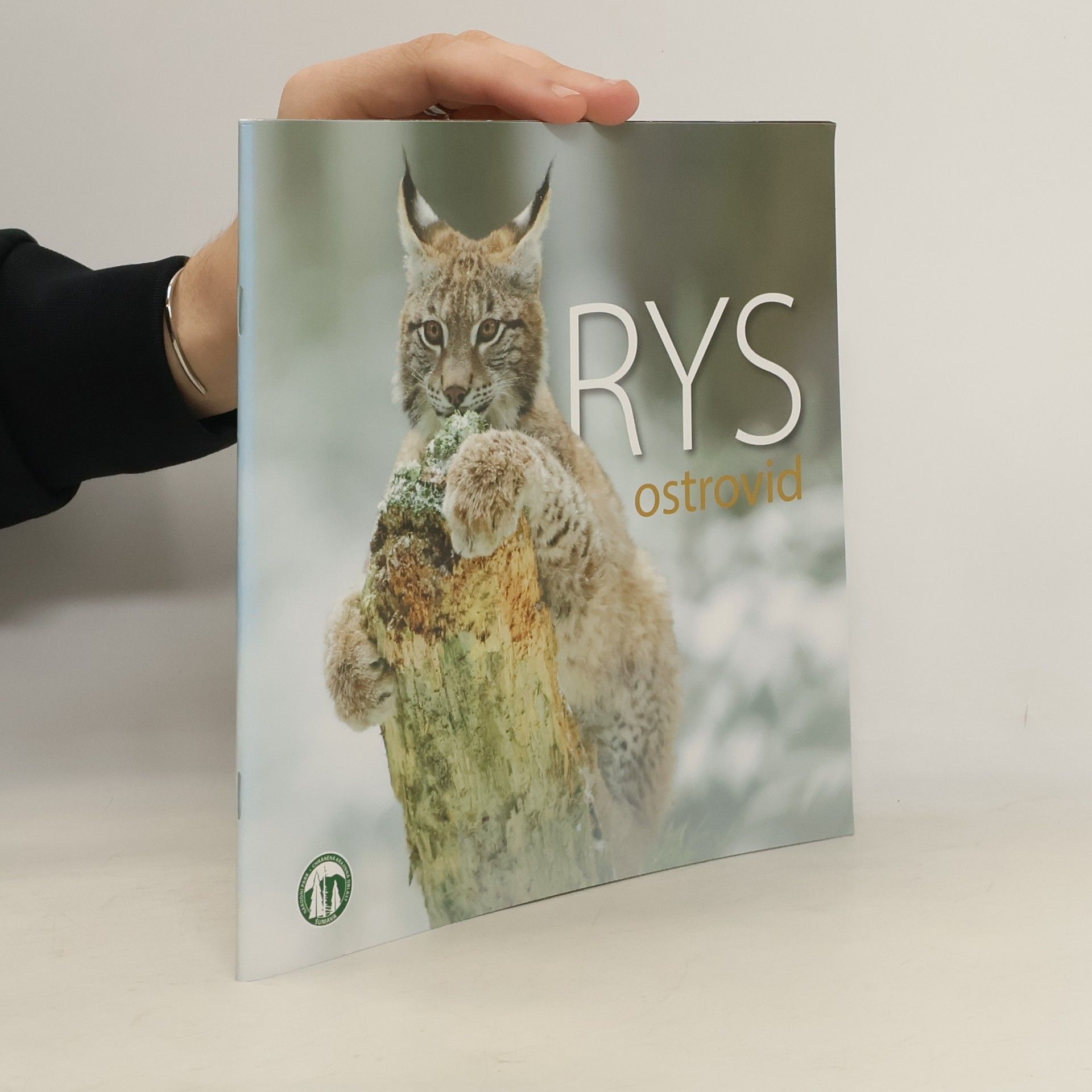 Miroslava Michnová Rys ostrovid