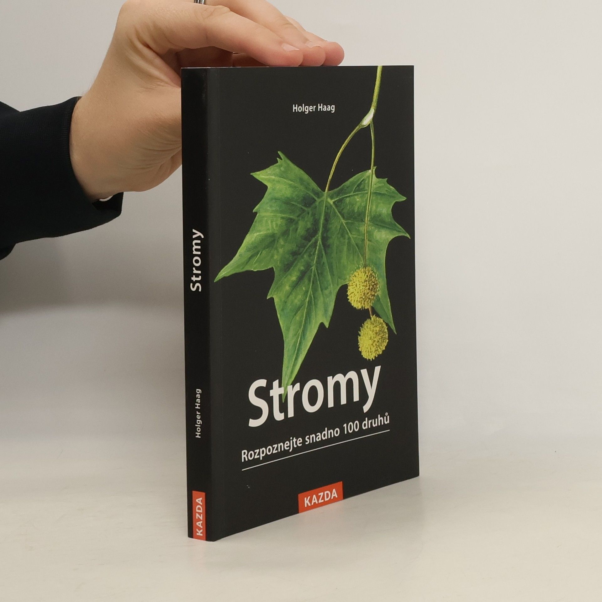 Stromy: rozpoznejte snadno 100 druhů