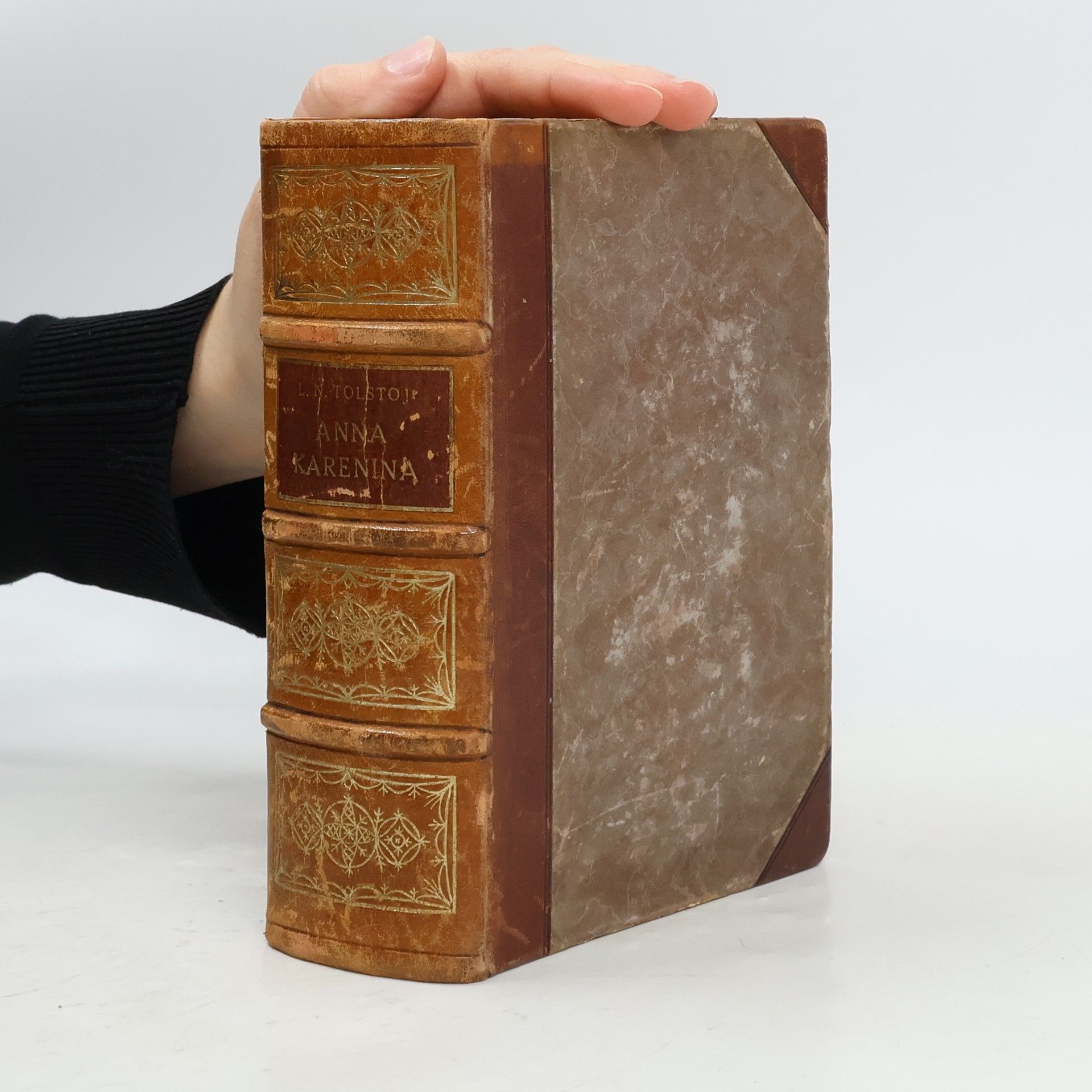 Anna Karenina