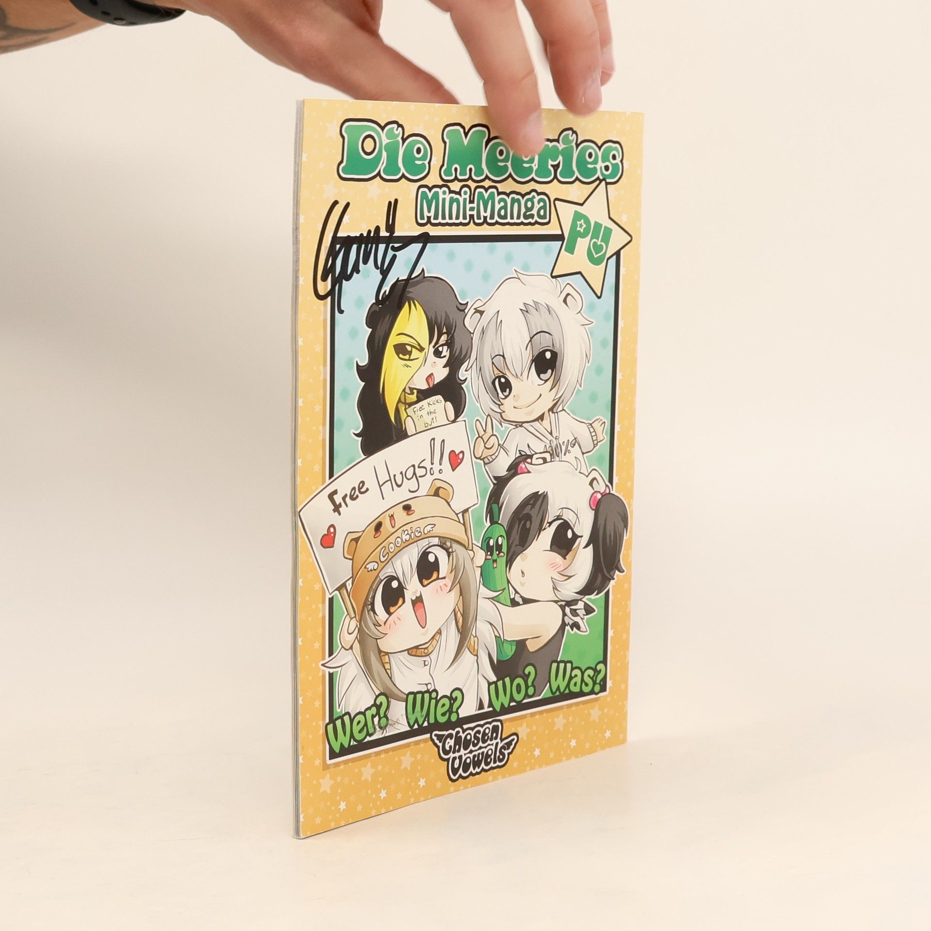 Christina Falkenroth Die Meeries. Mini-Manga