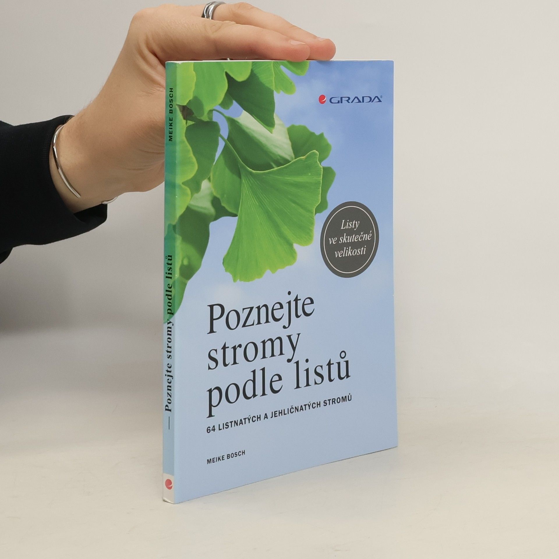 Meike Bosch Poznejte stromy podle listů