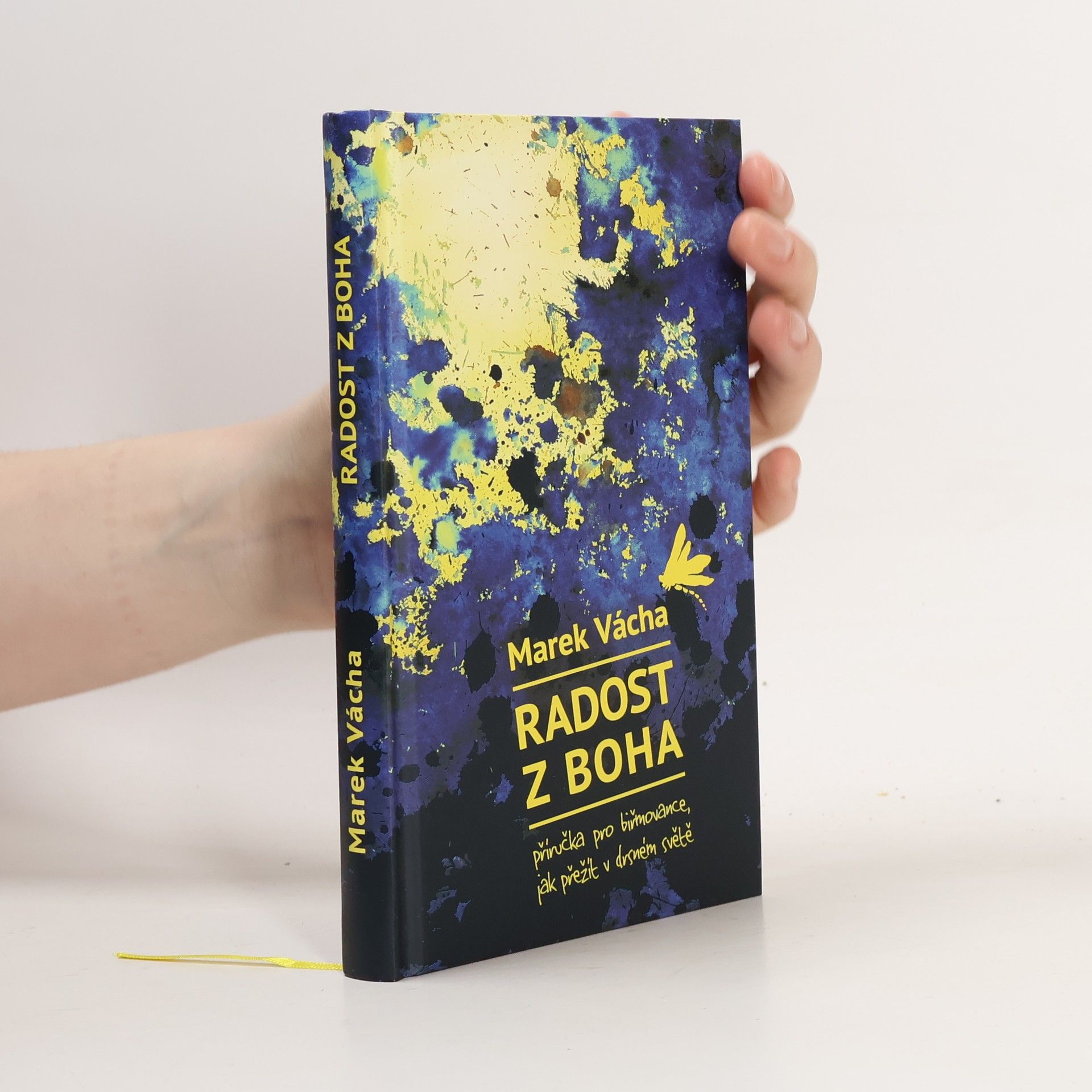 Marek Vácha Radost z Boha. Příručka pro biřmovance, jak přežít v drsném světě