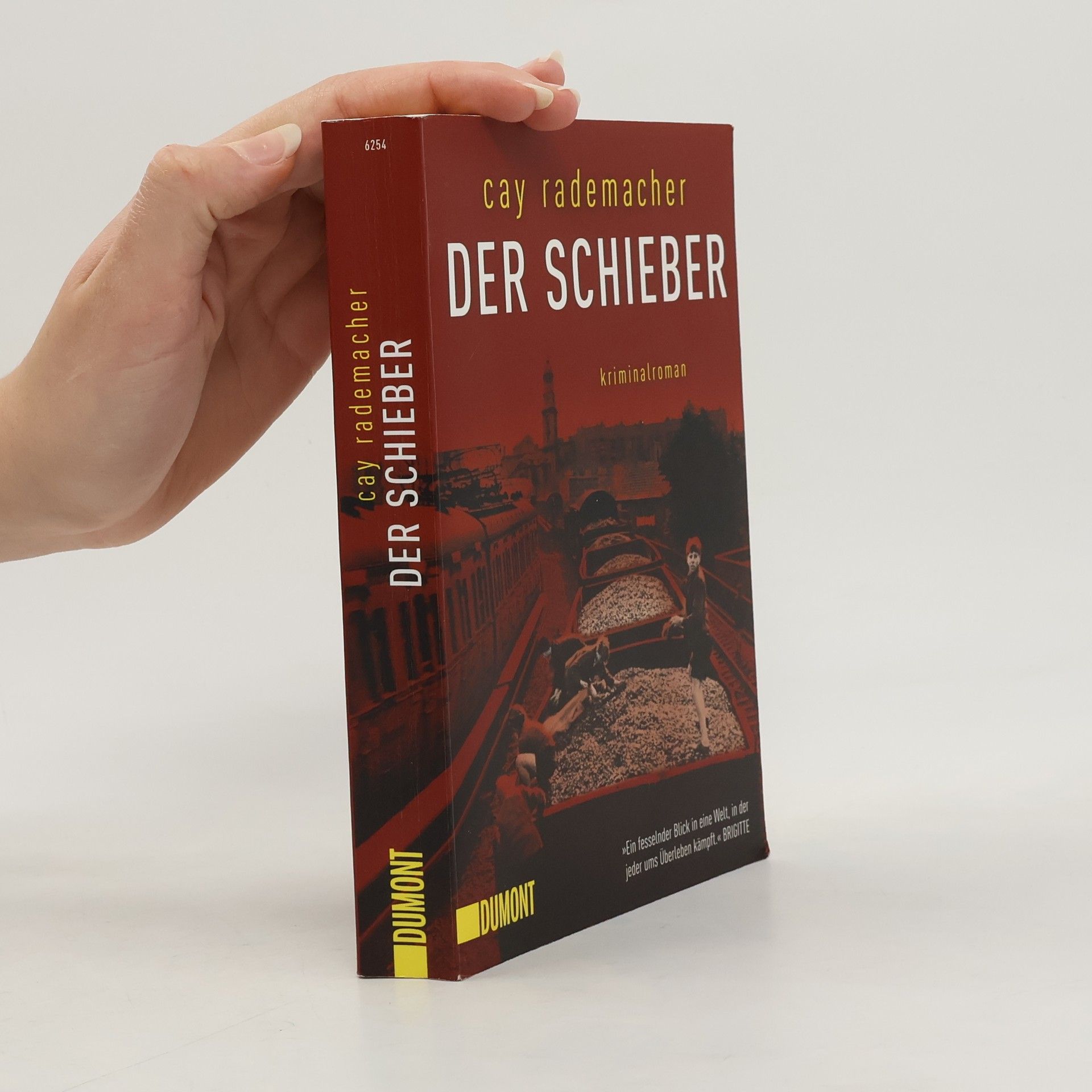 Cay Rademacher Der Schieber