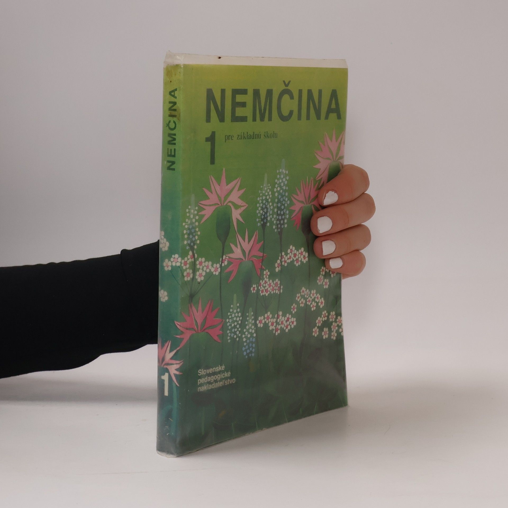 Kolektiv autorů Nemčina