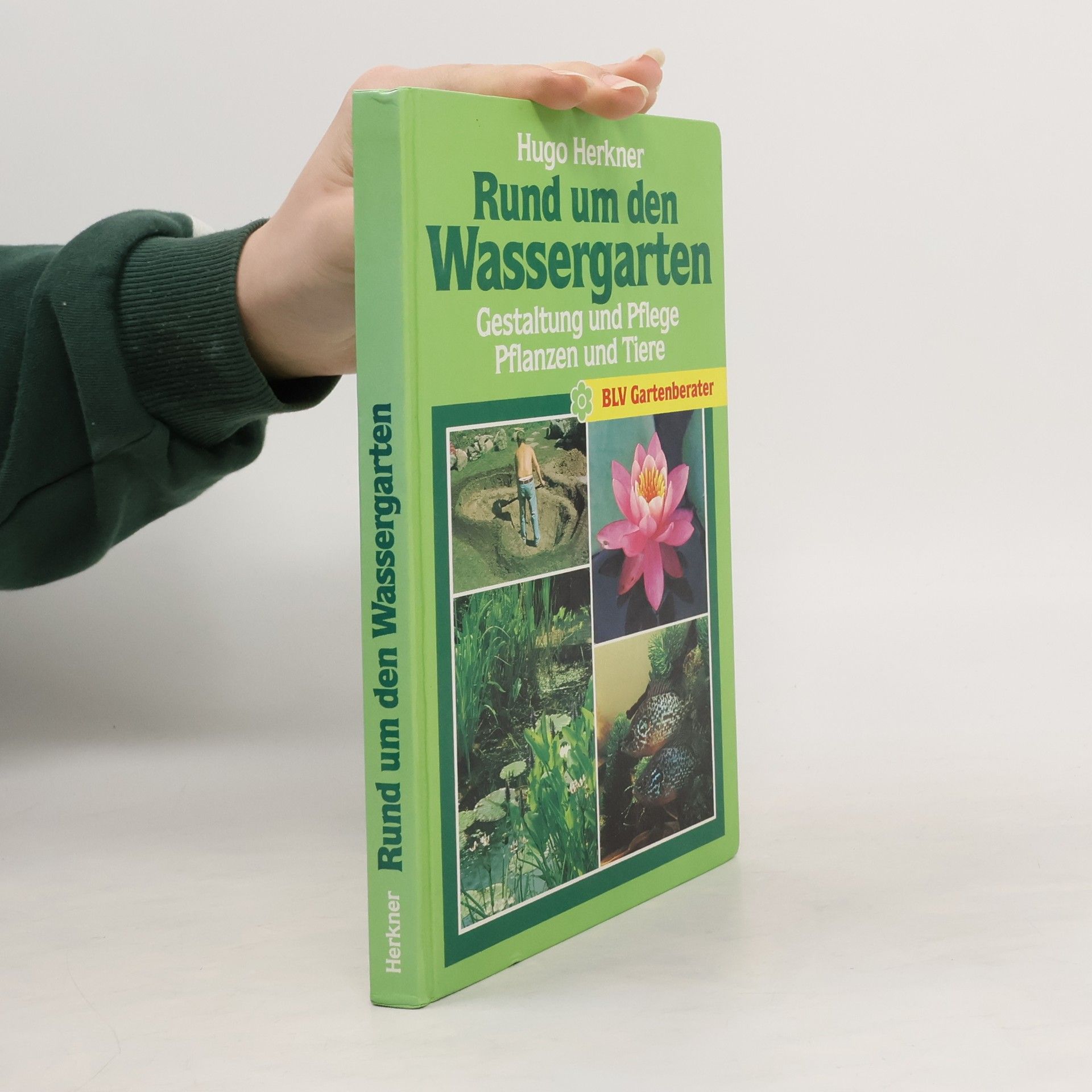 Rund um den Wassergarten