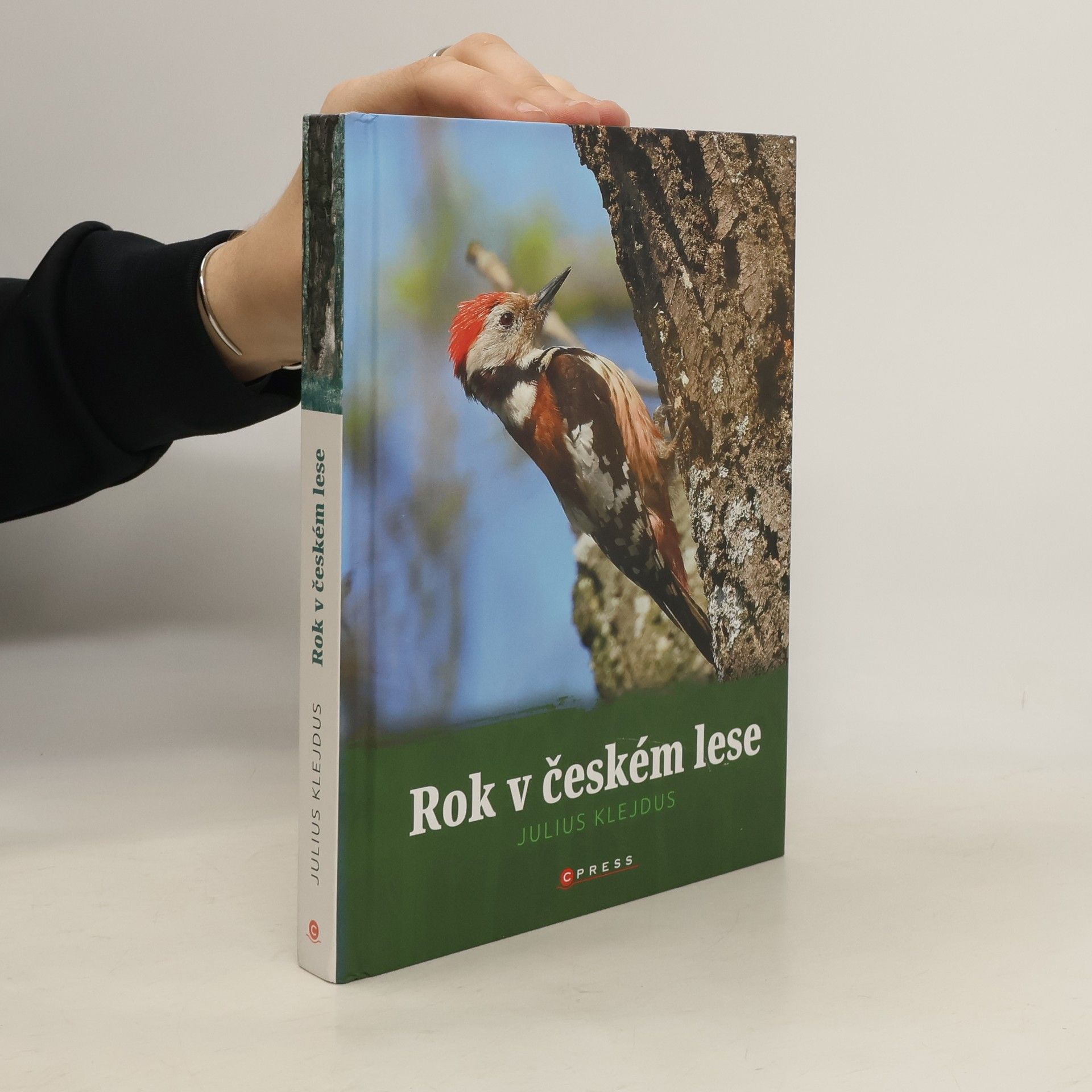 Julius Klejdus Rok v českém lese