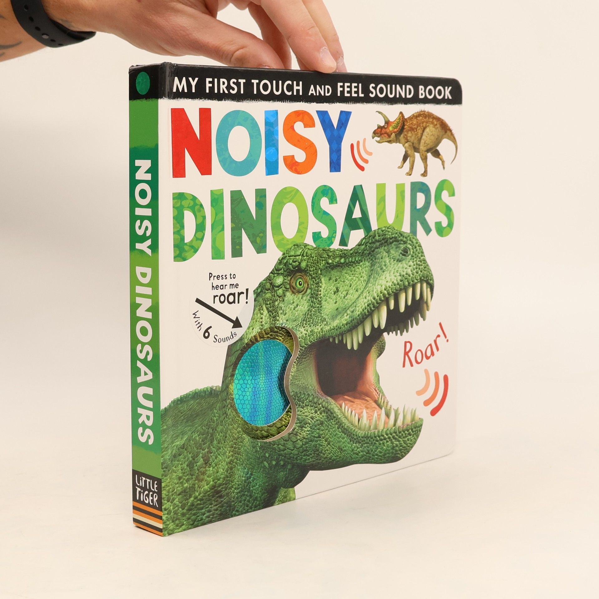 Jonathan Litton Noisy Dinosaurs