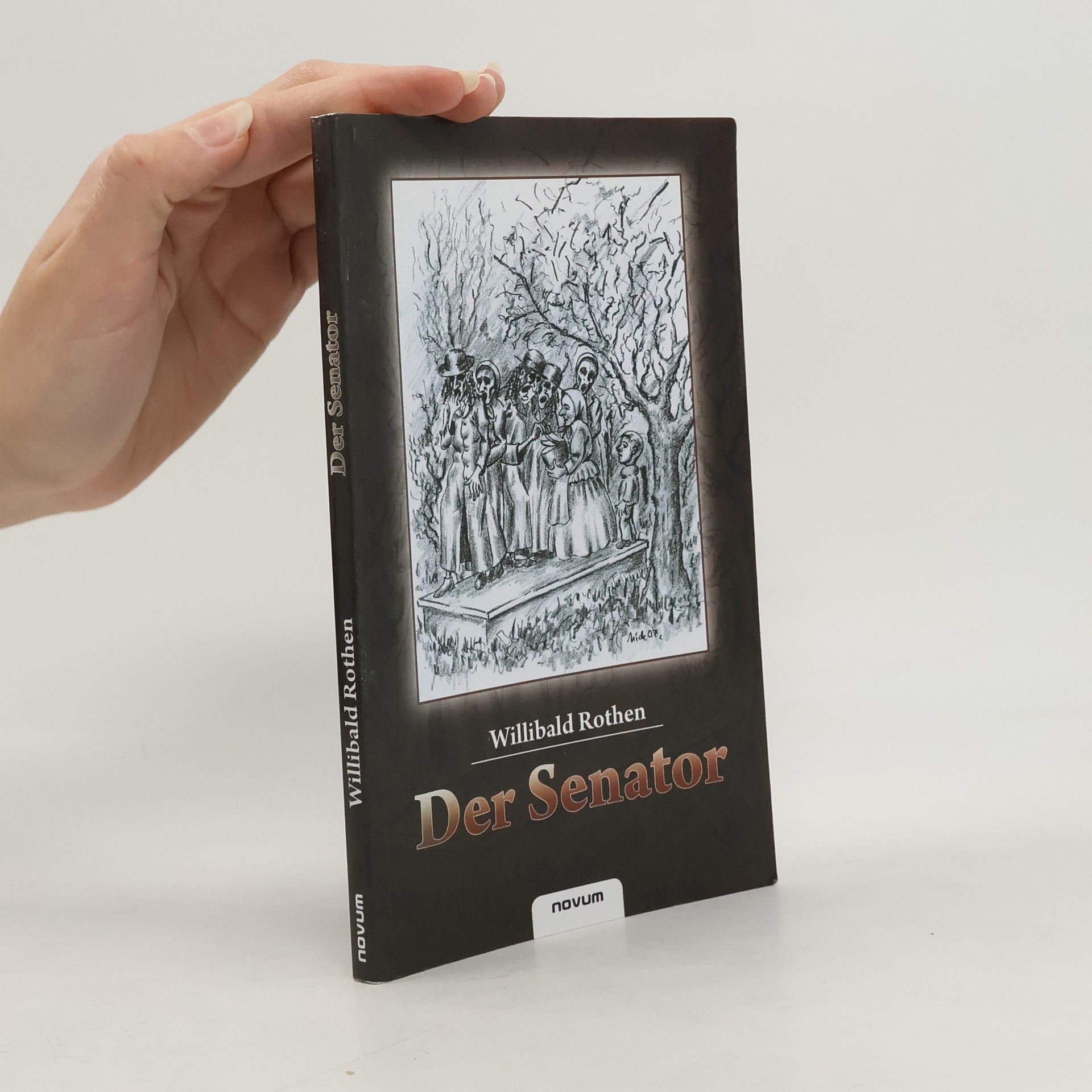 Willibald Rothen Der Senator