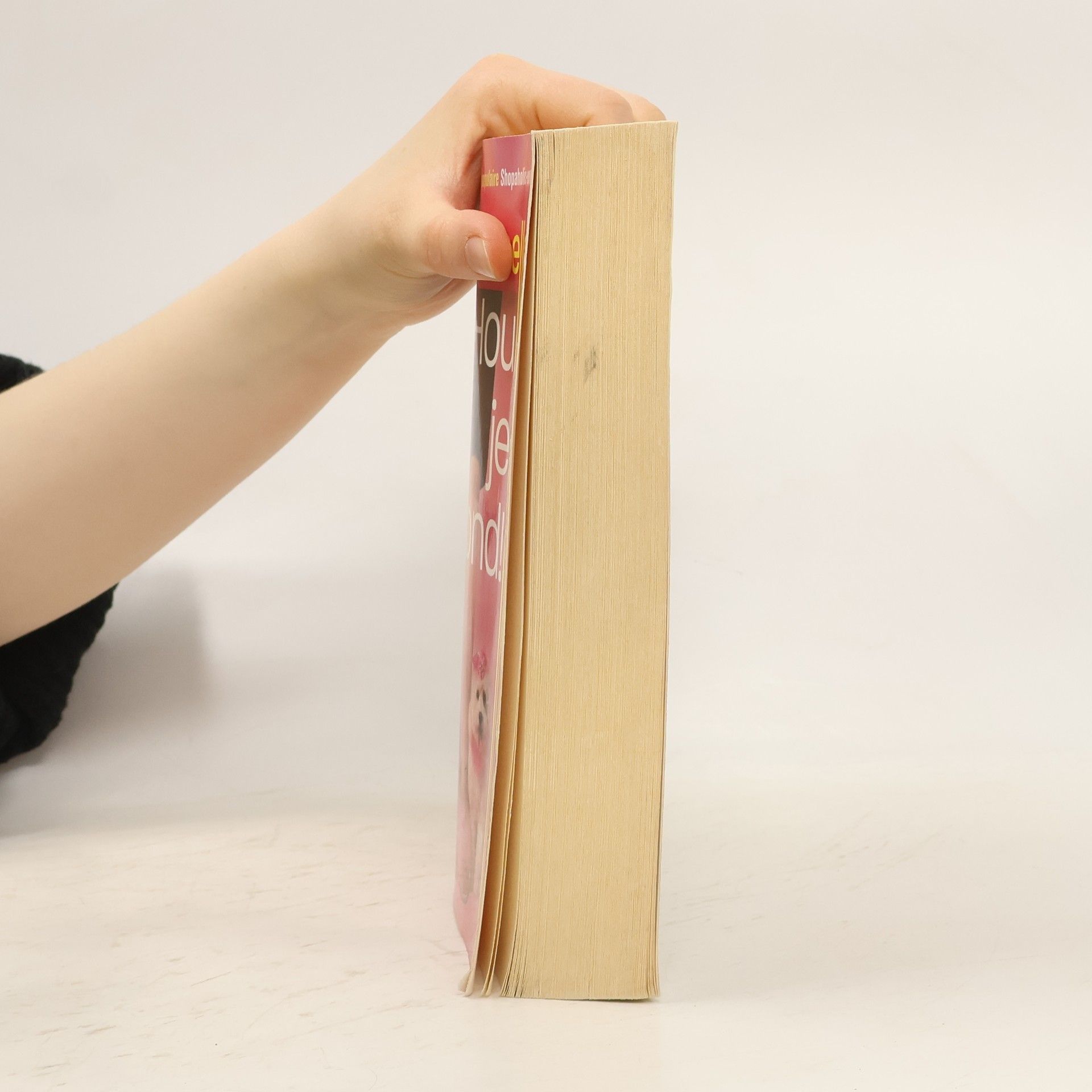 Sophie Kinsella Hou je mond!
