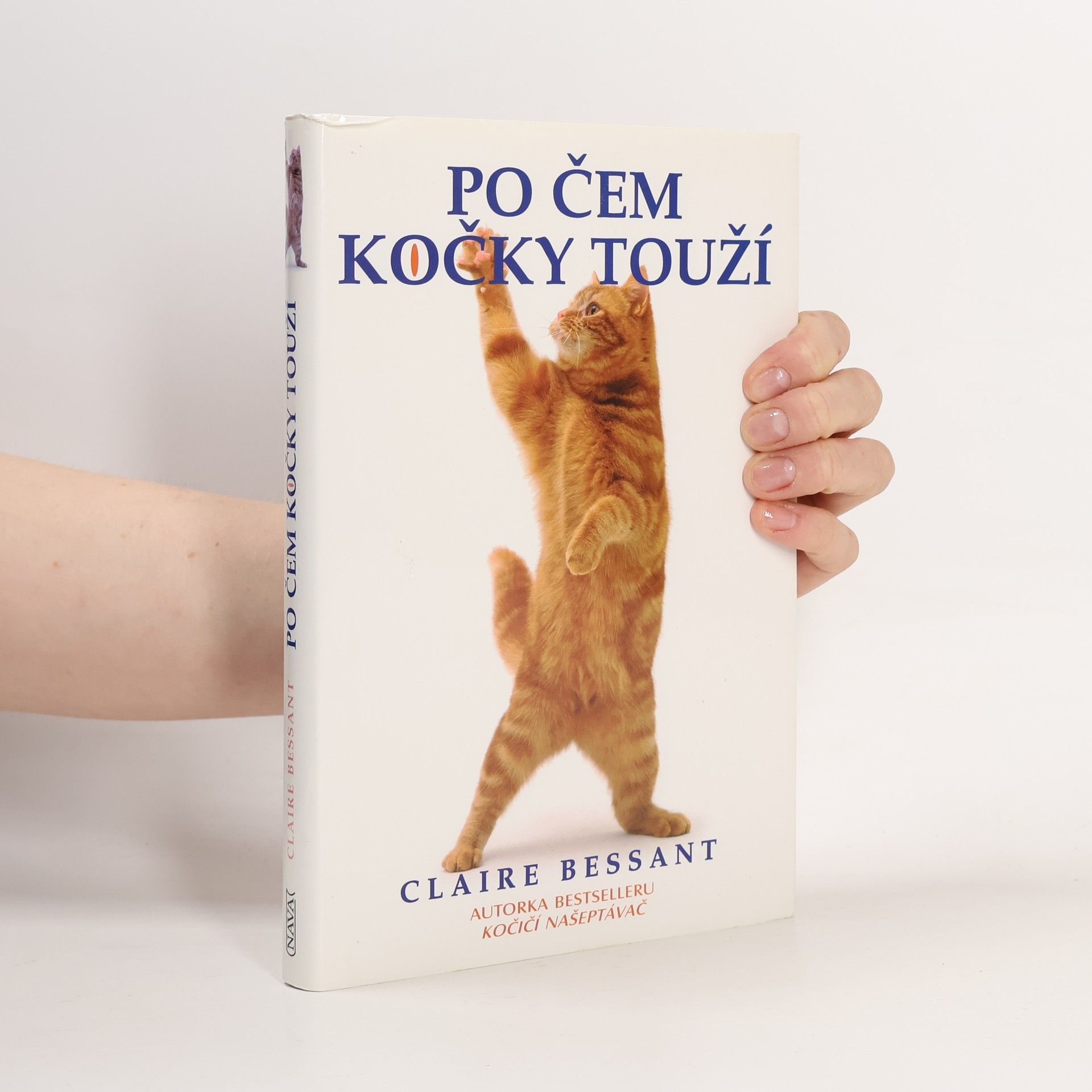 Claire Bessant Po čem kočky touží