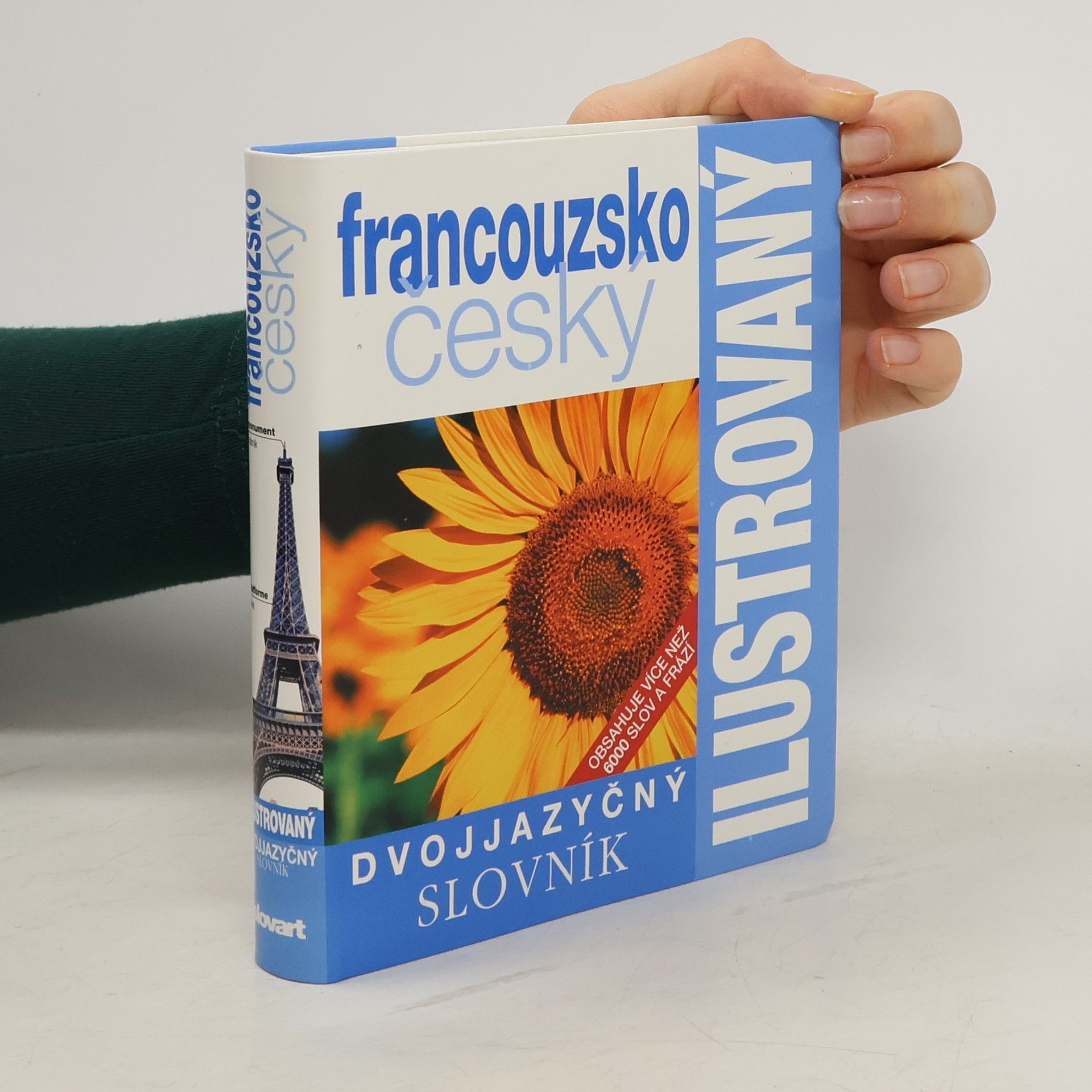 Kolektív autorov Francouzsko-český ilustrovaný slovník