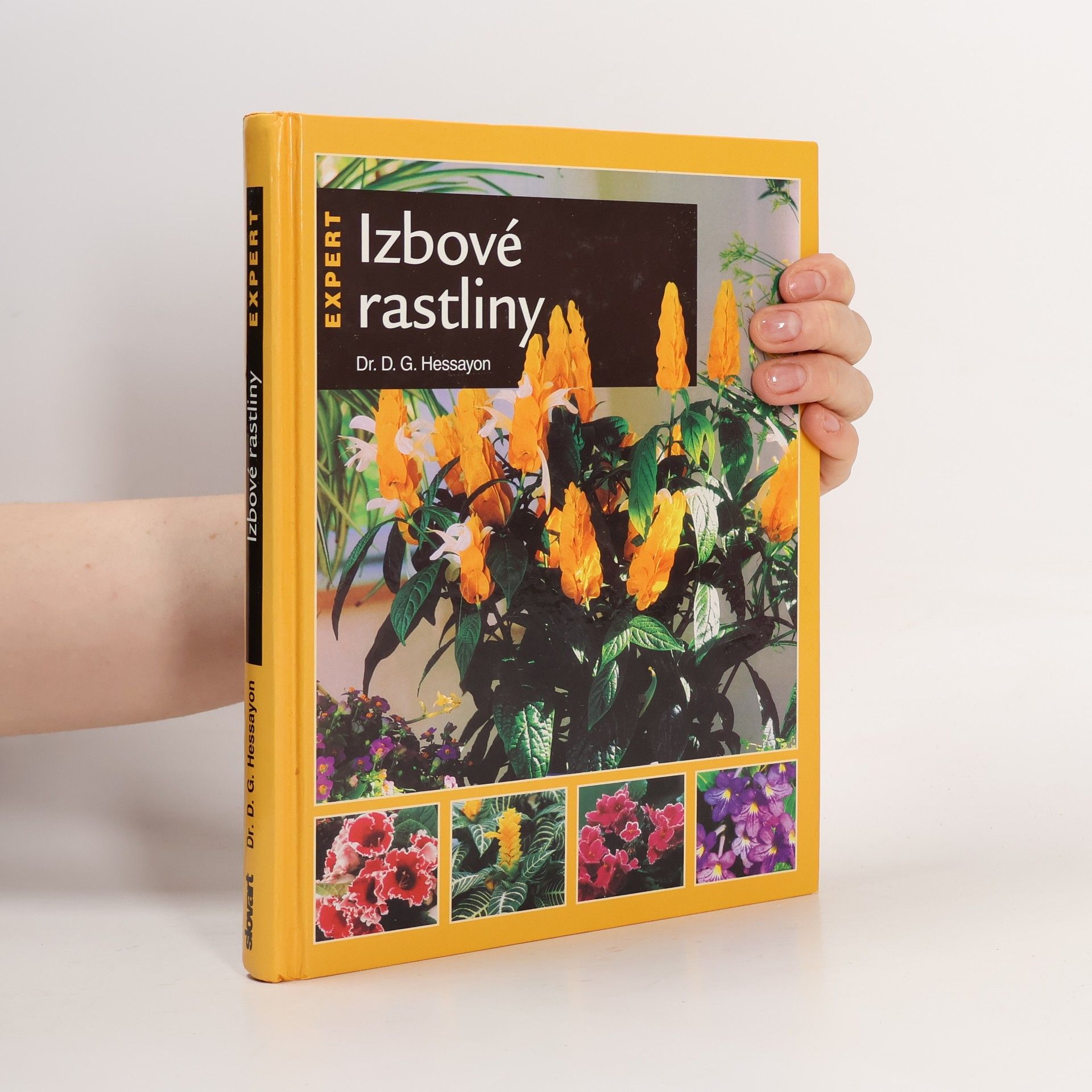 D. G. (David Gerald) Hessayon Izbové rastliny