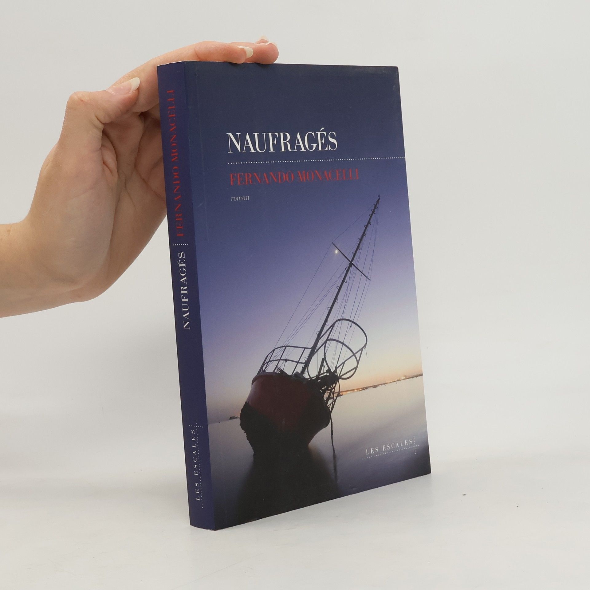 Fernando Monacelli Naufragés