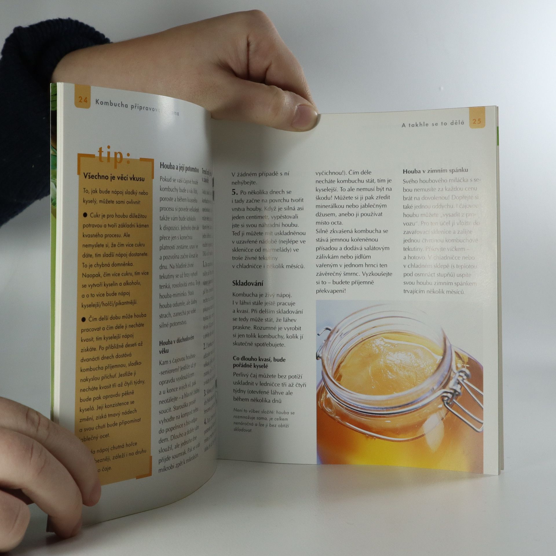 Birgit Sesterhenn Kombucha. Nápoj pro výbornou kondici a elixír krásy