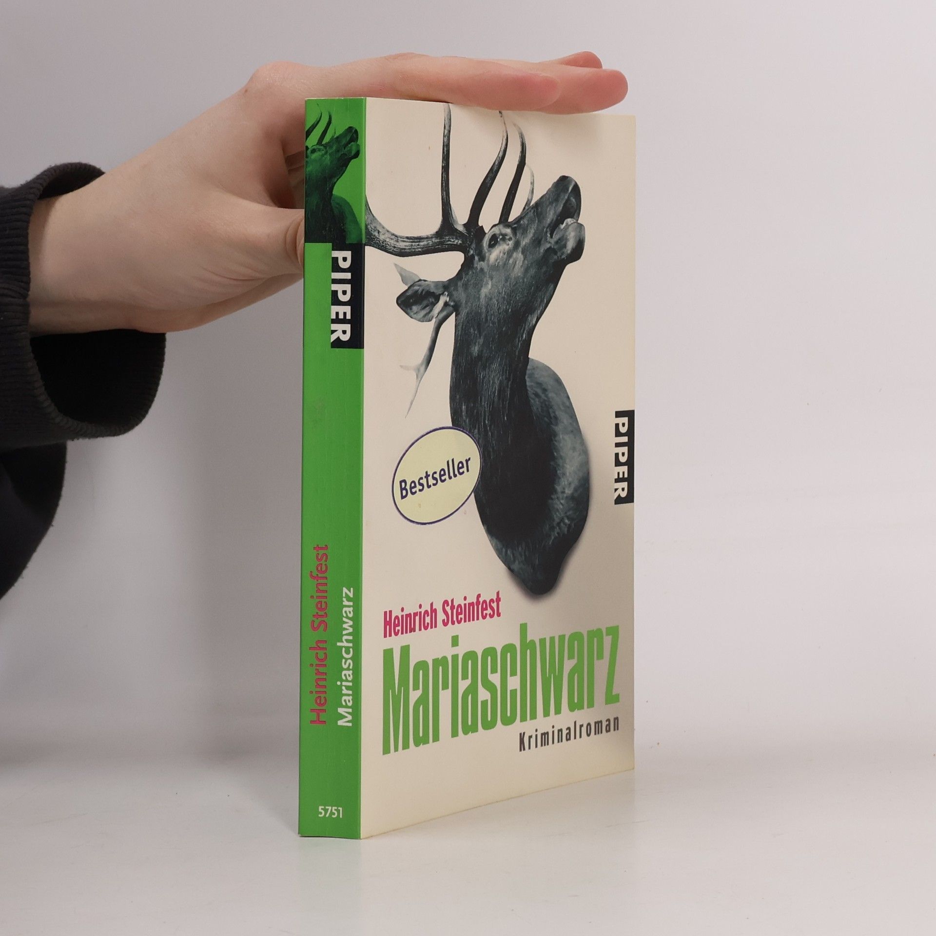 Heinrich Steinfest Mariaschwarz