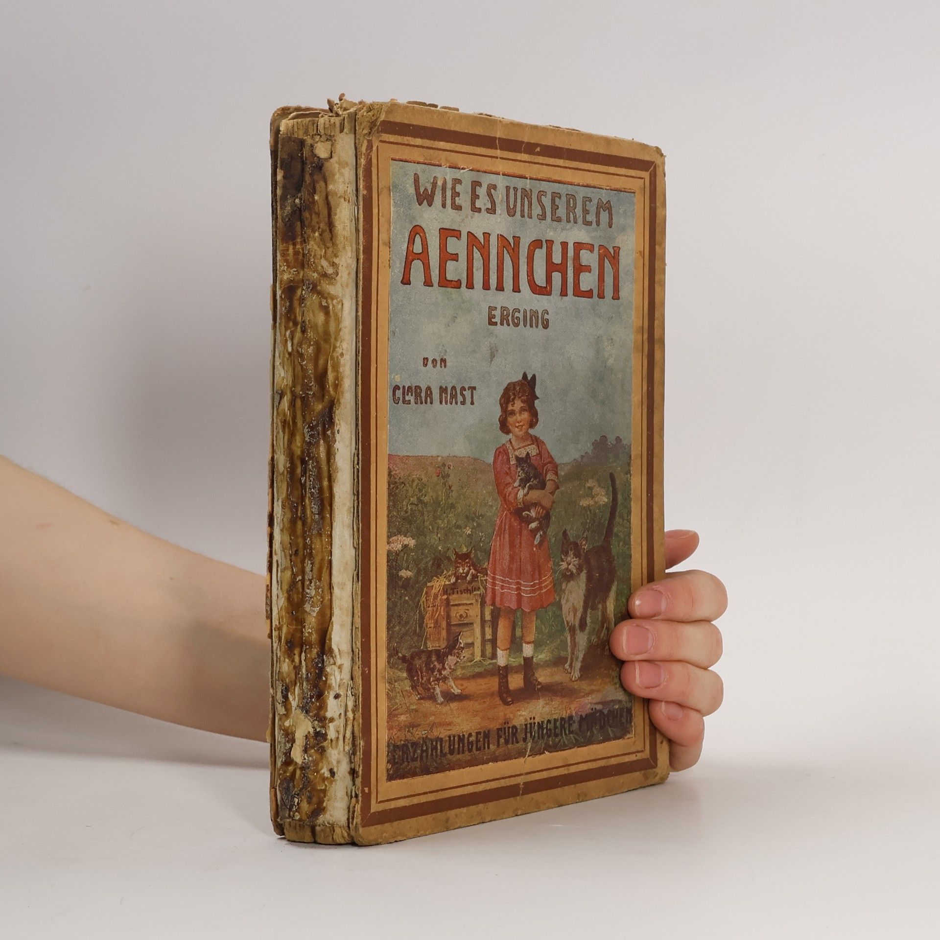 Clara Nast Wie es unserem Männchen erging