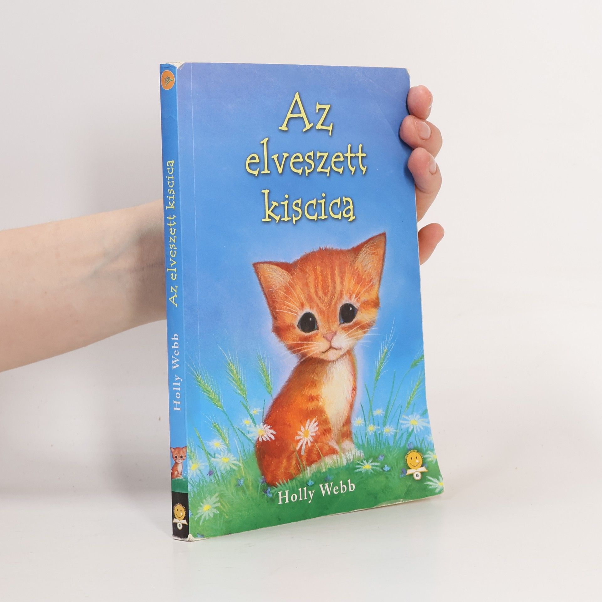 Holly Webb Az elveszett kiscica