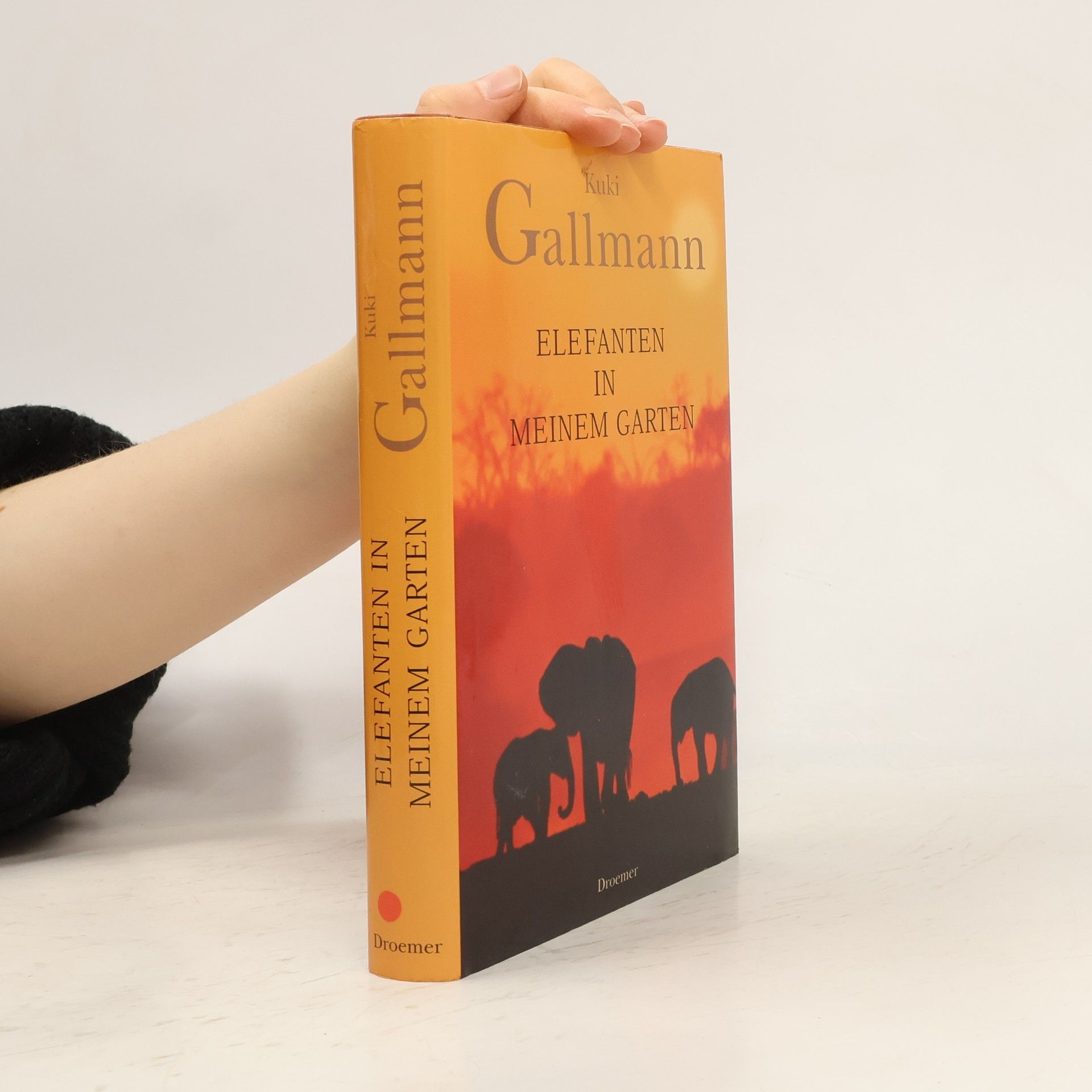 Kuki Gallmann Elefanten in meinem Garten