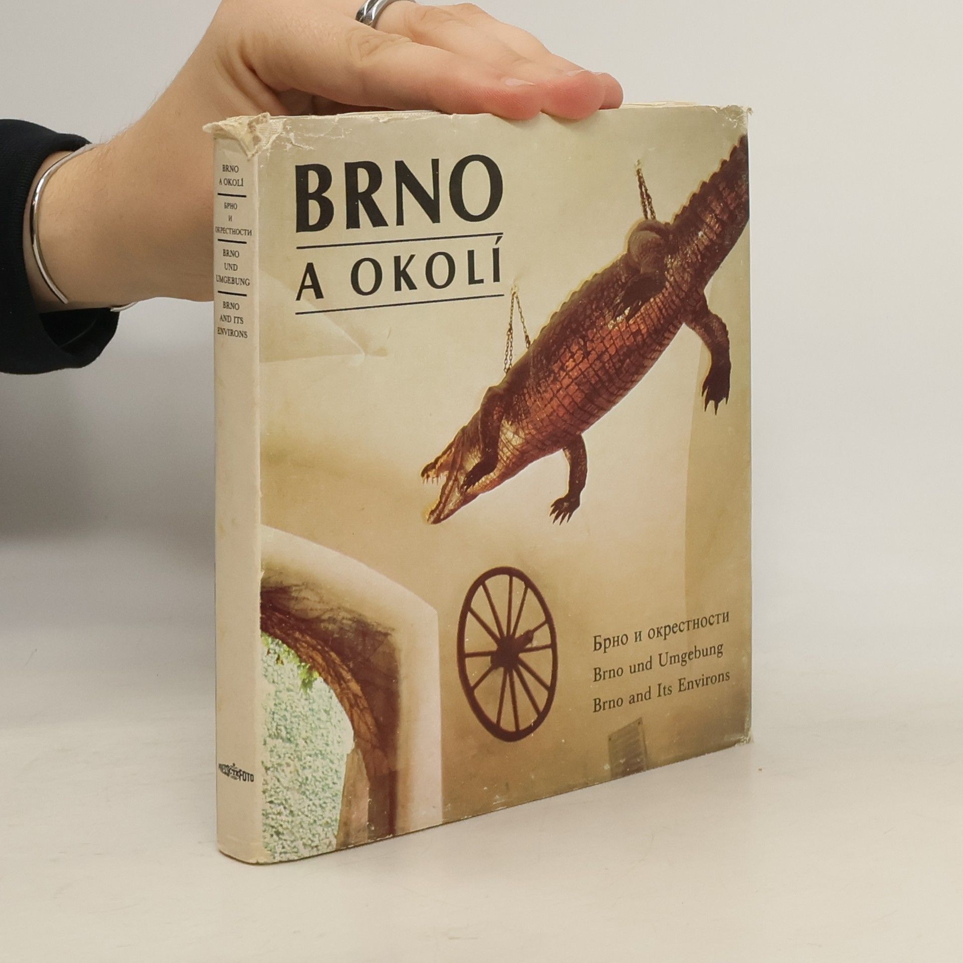 Dalibor Kusák Brno a okolí