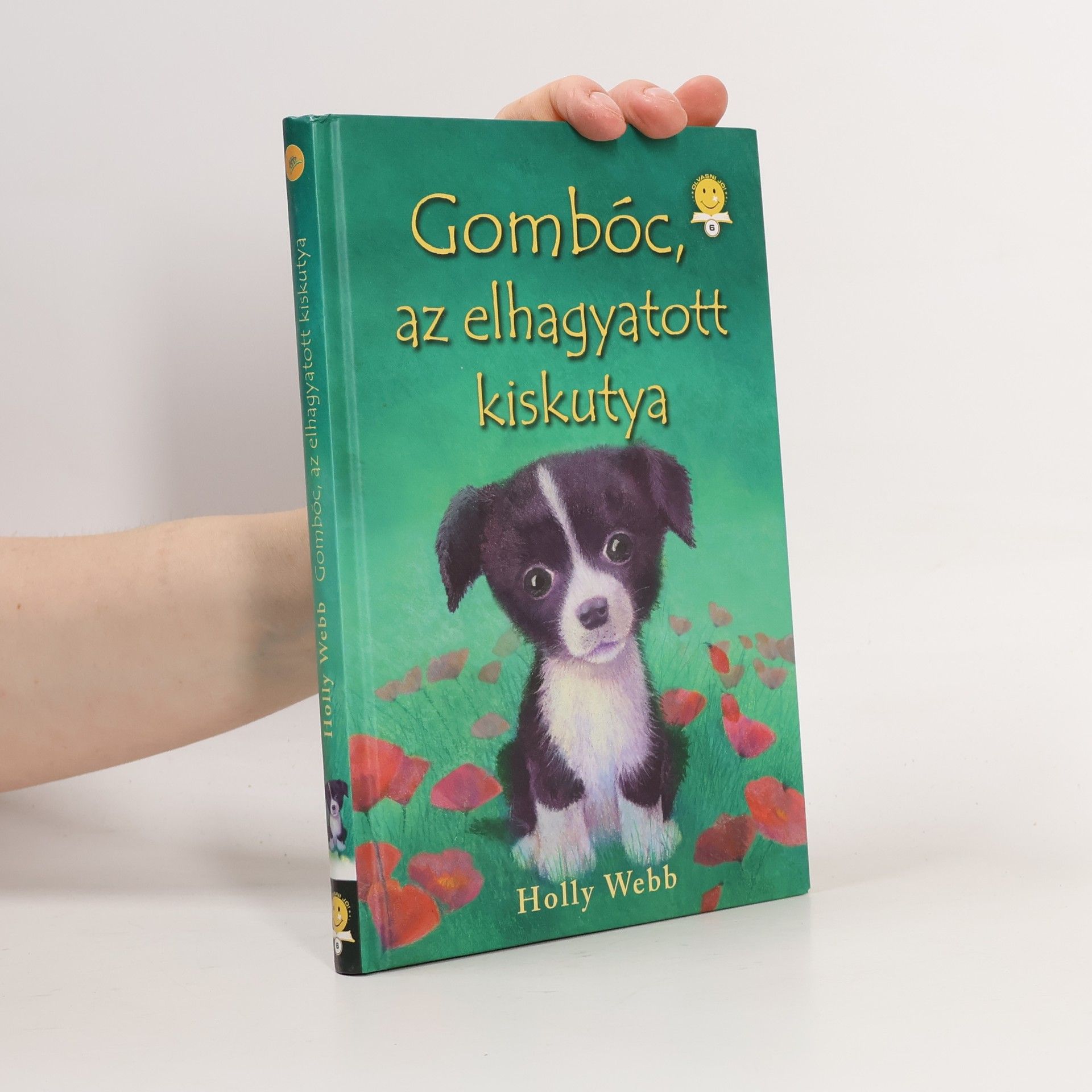 Holly Webb Gombóc, az elhagyatott kiskutya